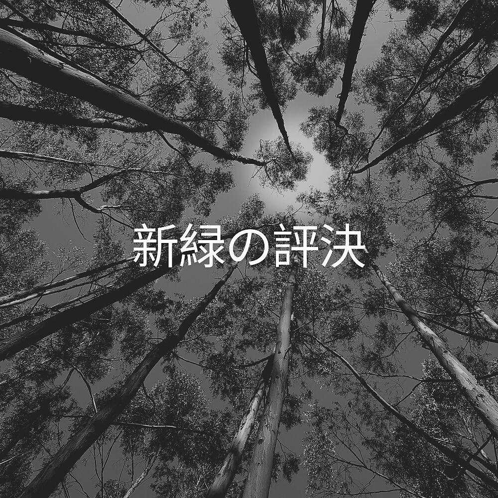 Релиз 新緑の評決