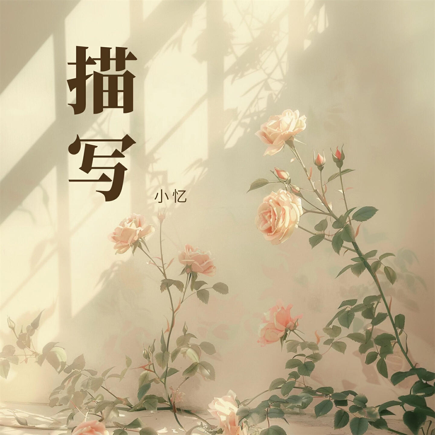 Релиз 描写