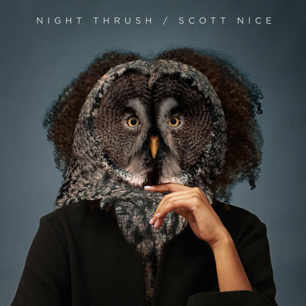 Релиз Night Thrush