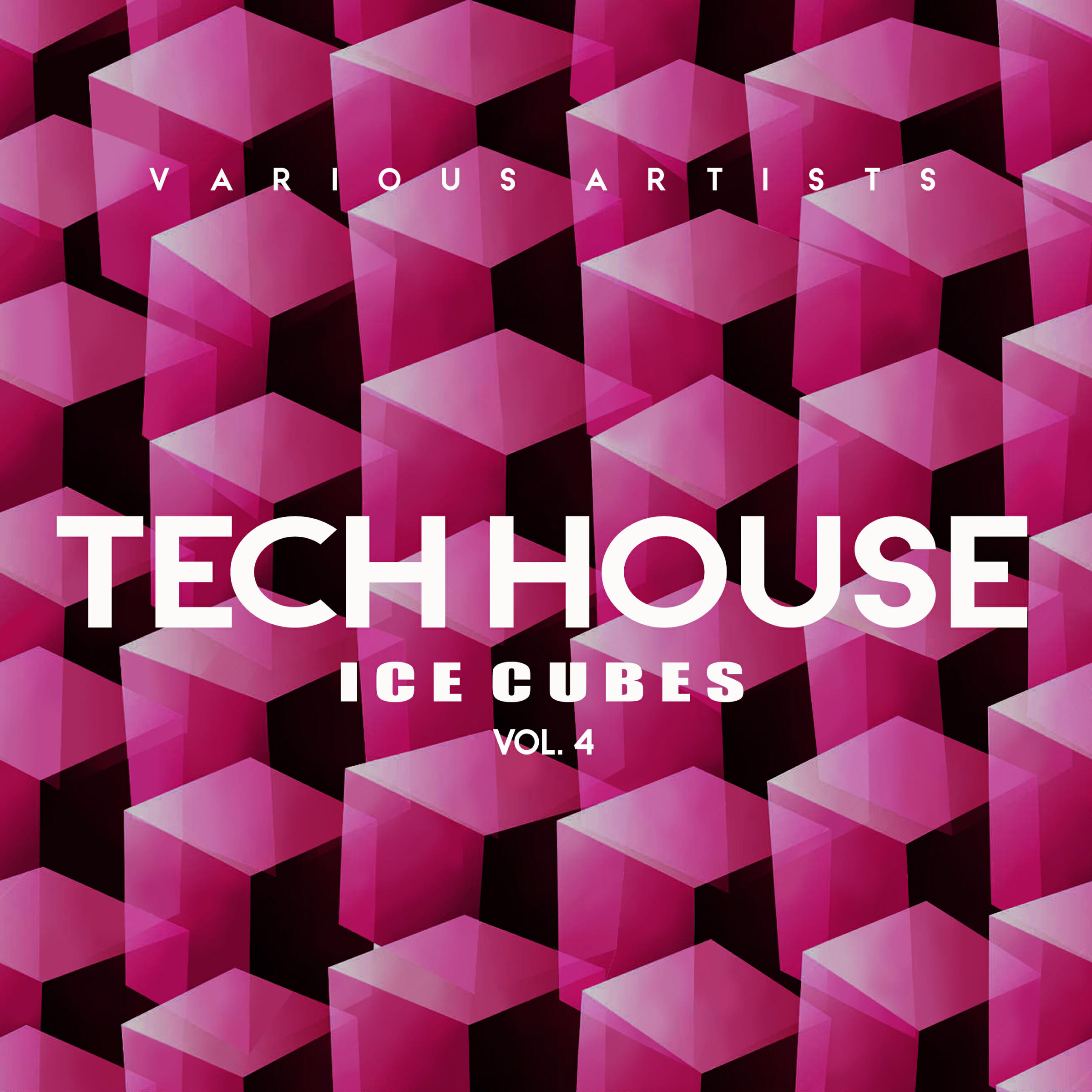 Релиз Tech House Ice Cubes, Vol. 4