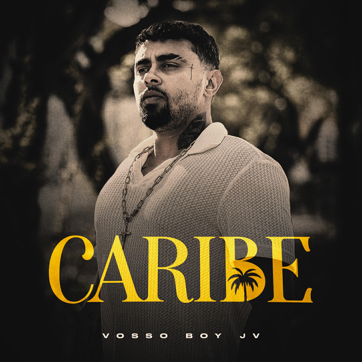 Релиз Caribe