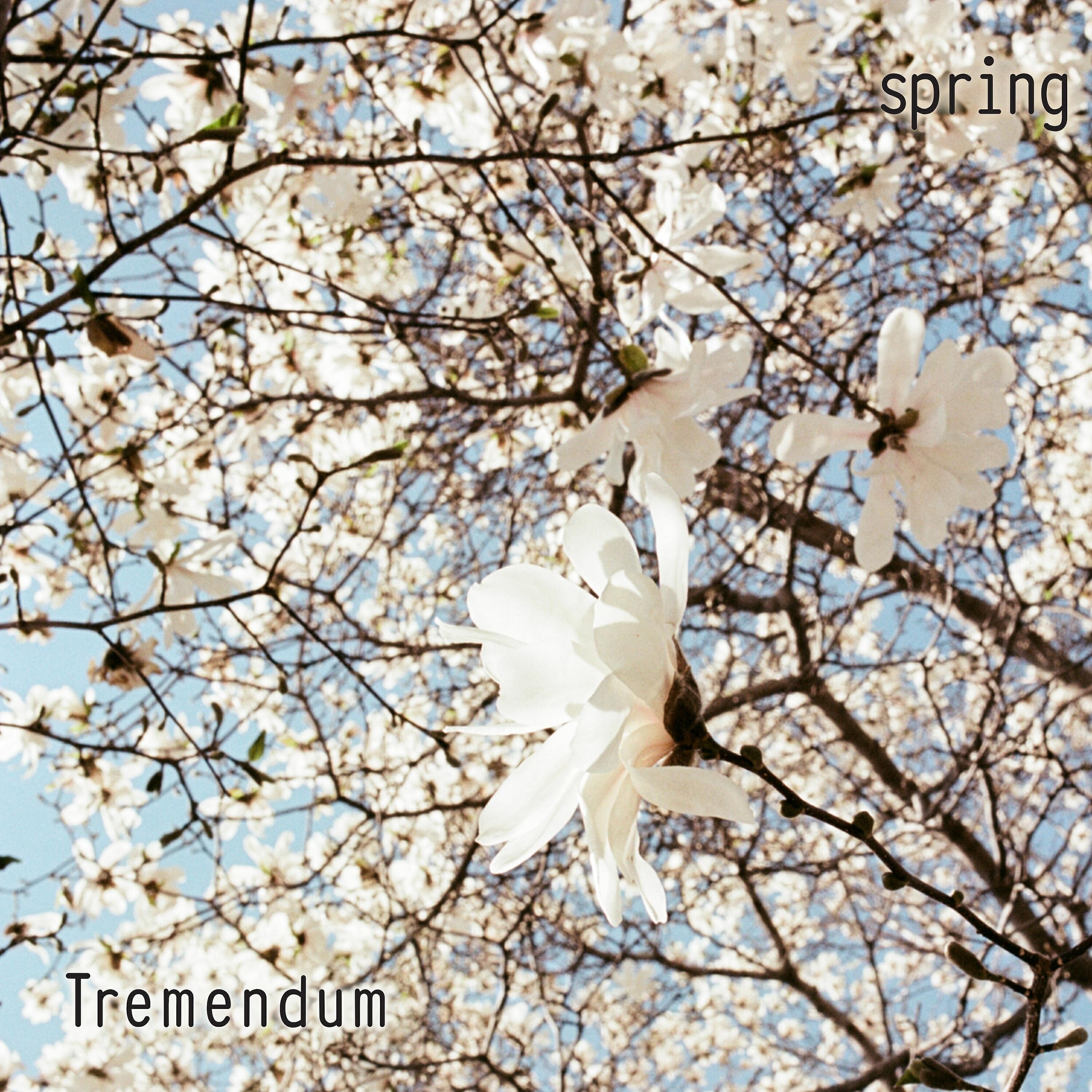 Релиз Spring
