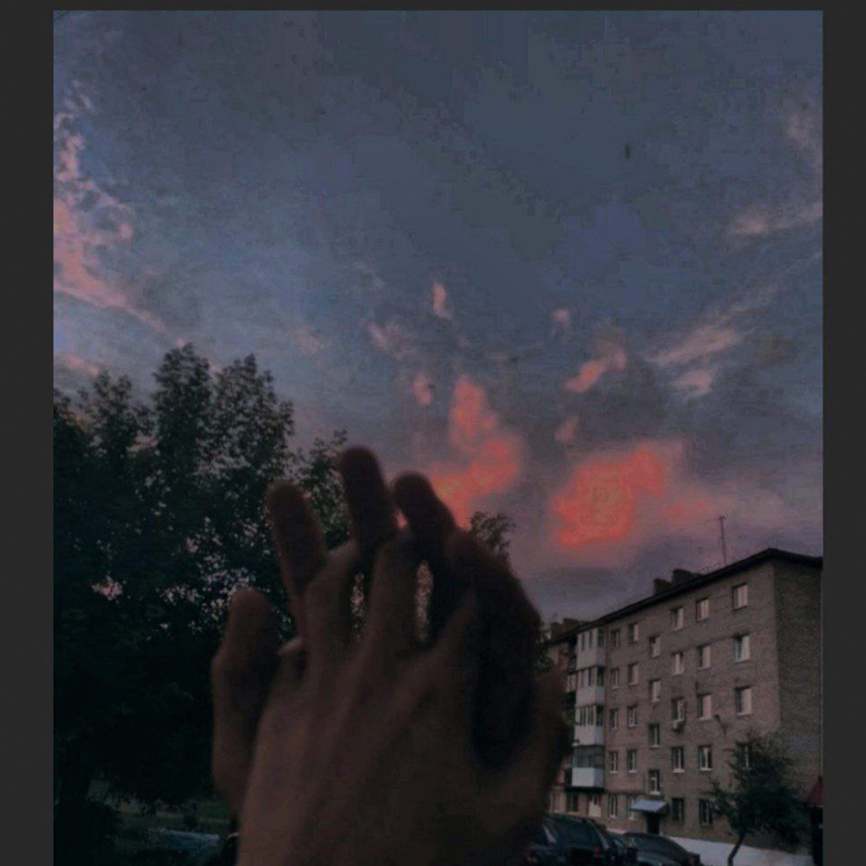Релиз Манит