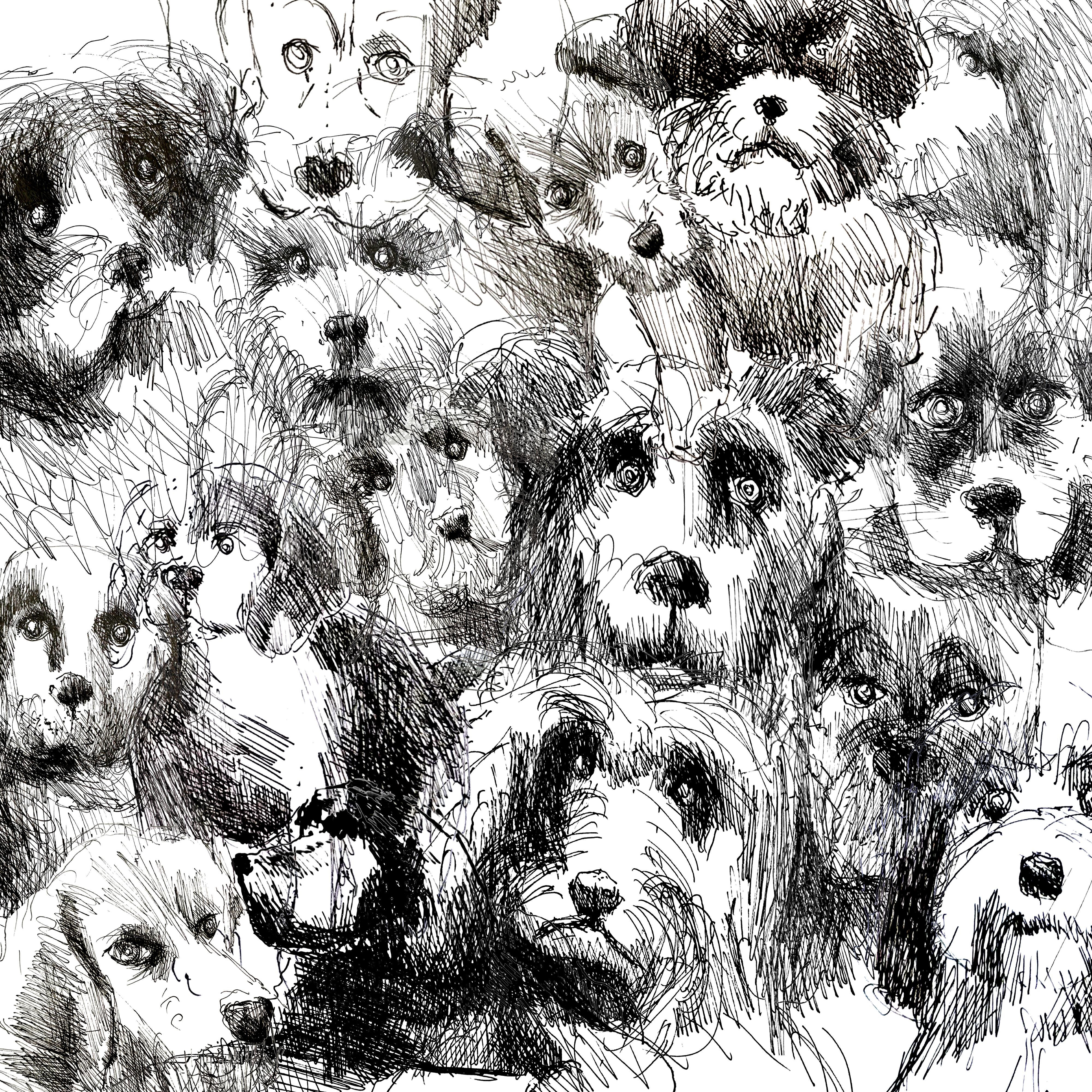 Релиз 16 dogs