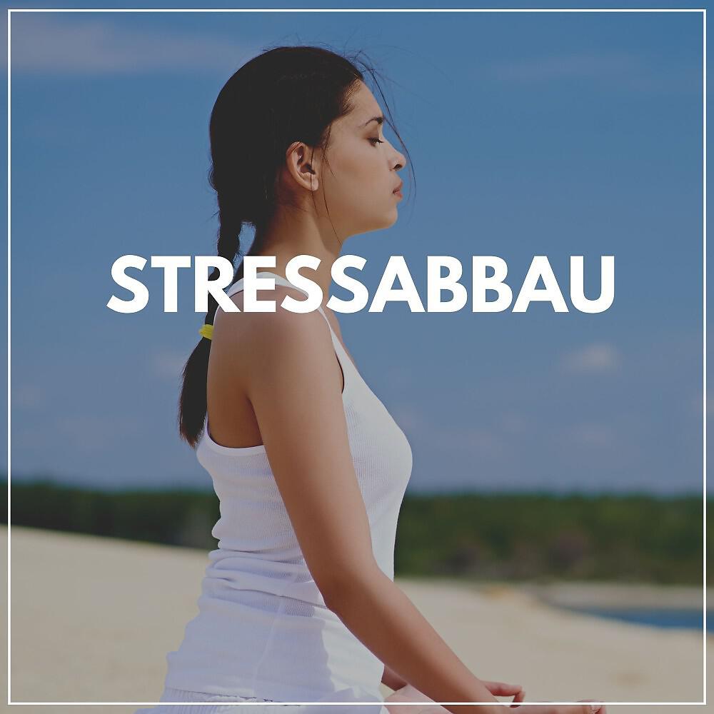 Релиз Stressabbauer