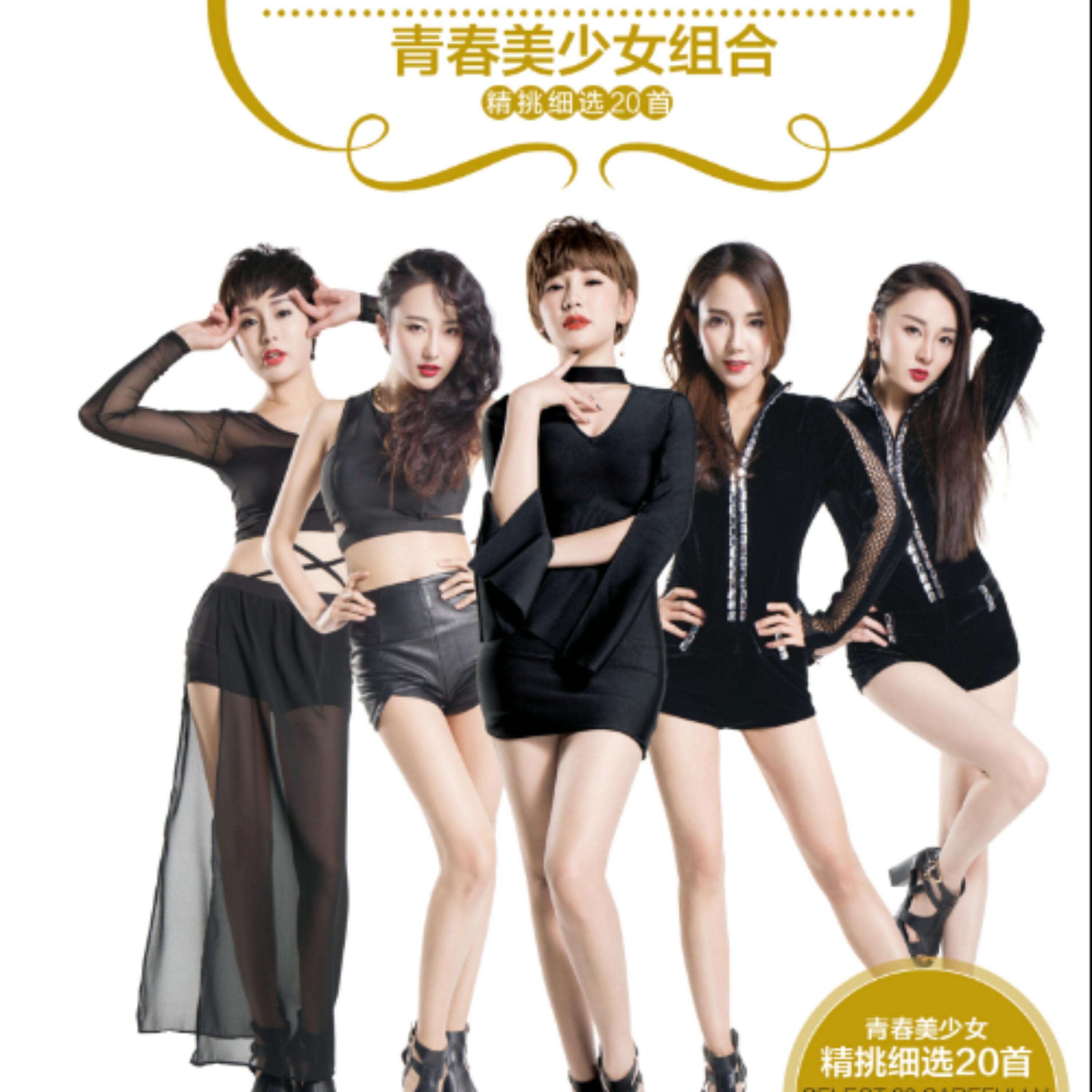 Релиз 青春美少女精挑细选集
