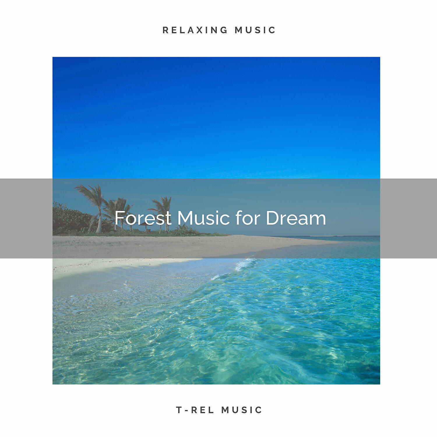 Релиз 01 Forest Music for Dream