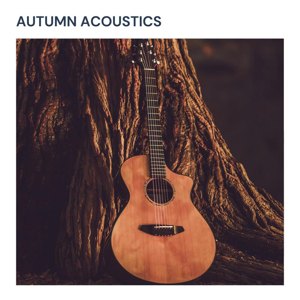 Релиз Autumn Acoustics