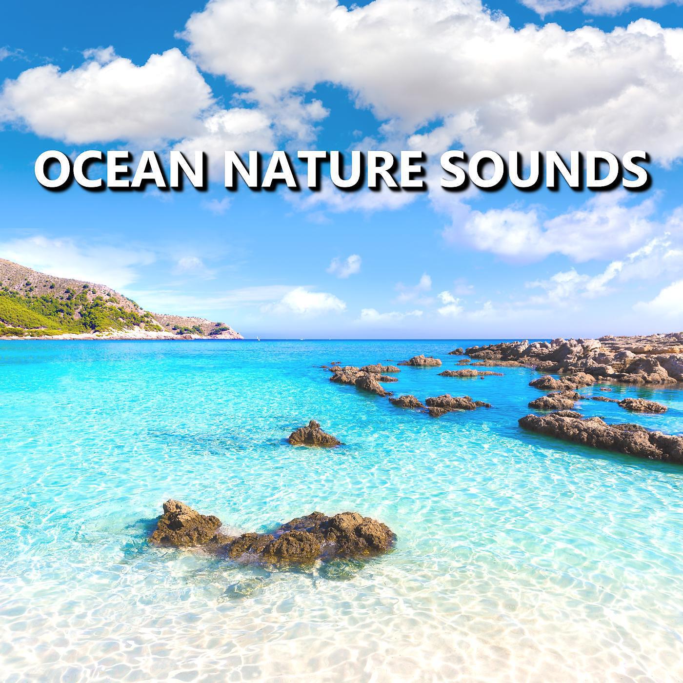 Релиз Ocean Nature Sounds