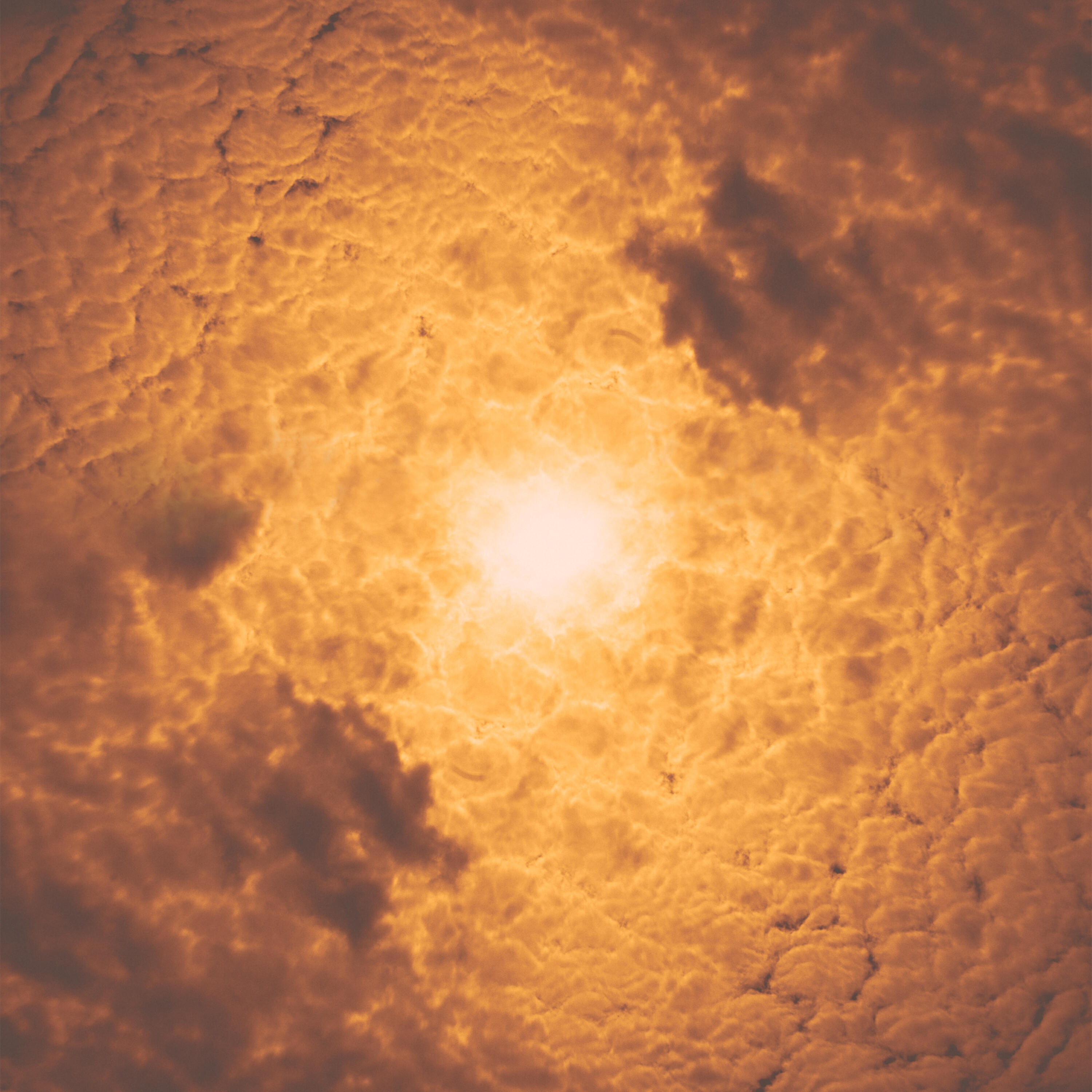 Релиз The Clouds Breathe for You (Christopher Willits Remix)