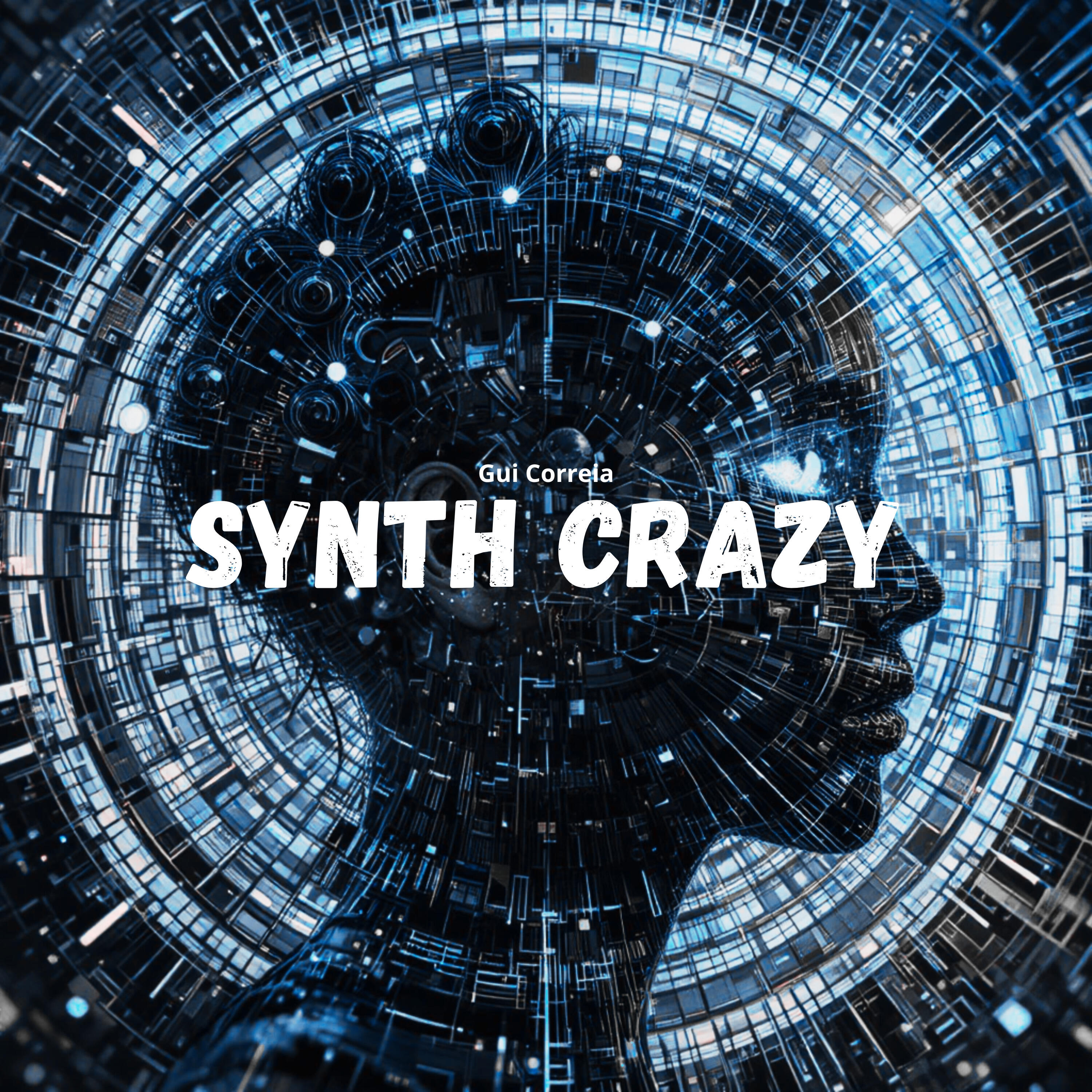 Релиз Synth Crazy