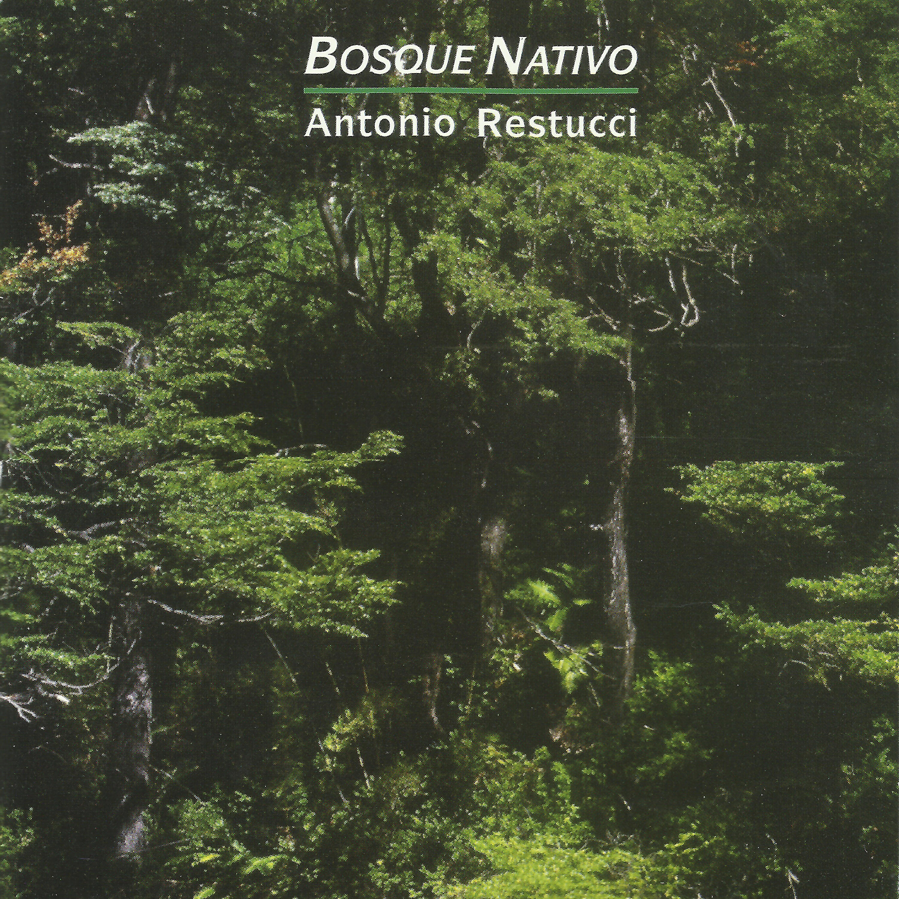 Релиз Bosque Nativo