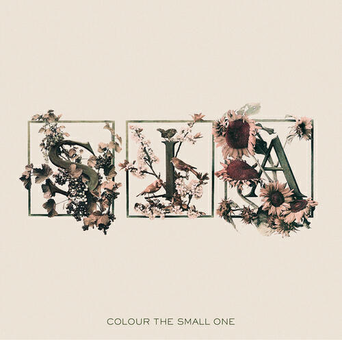 Релиз Colour The Small One