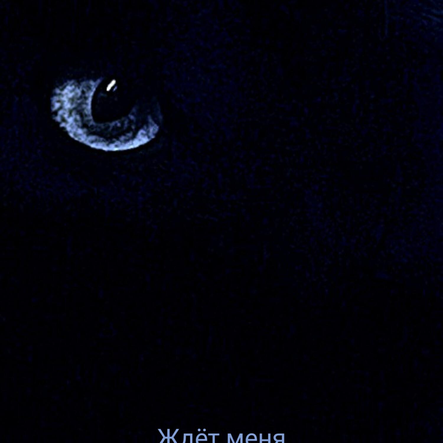 Релиз Ждёт меня