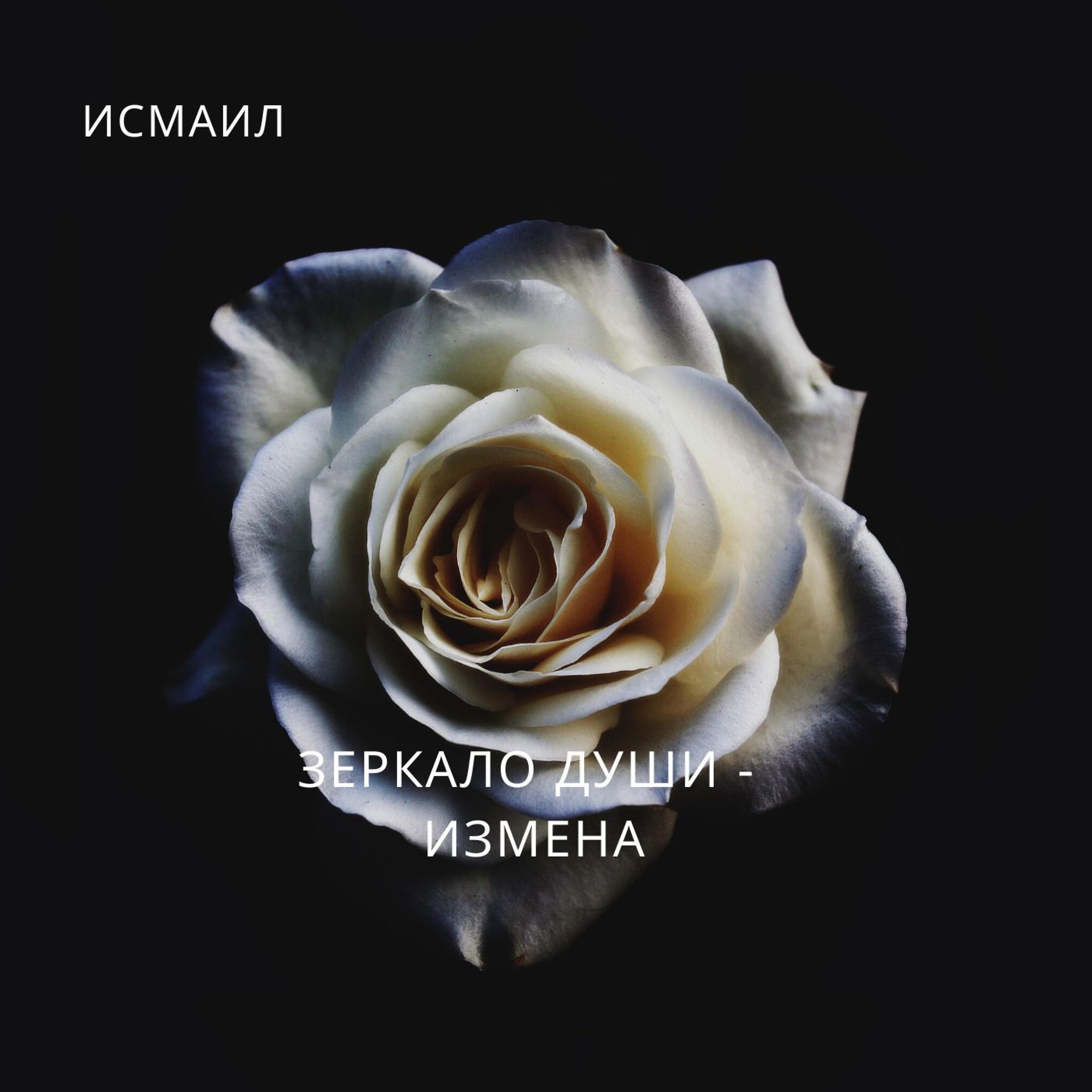 Постер альбома Зеркало души - измена