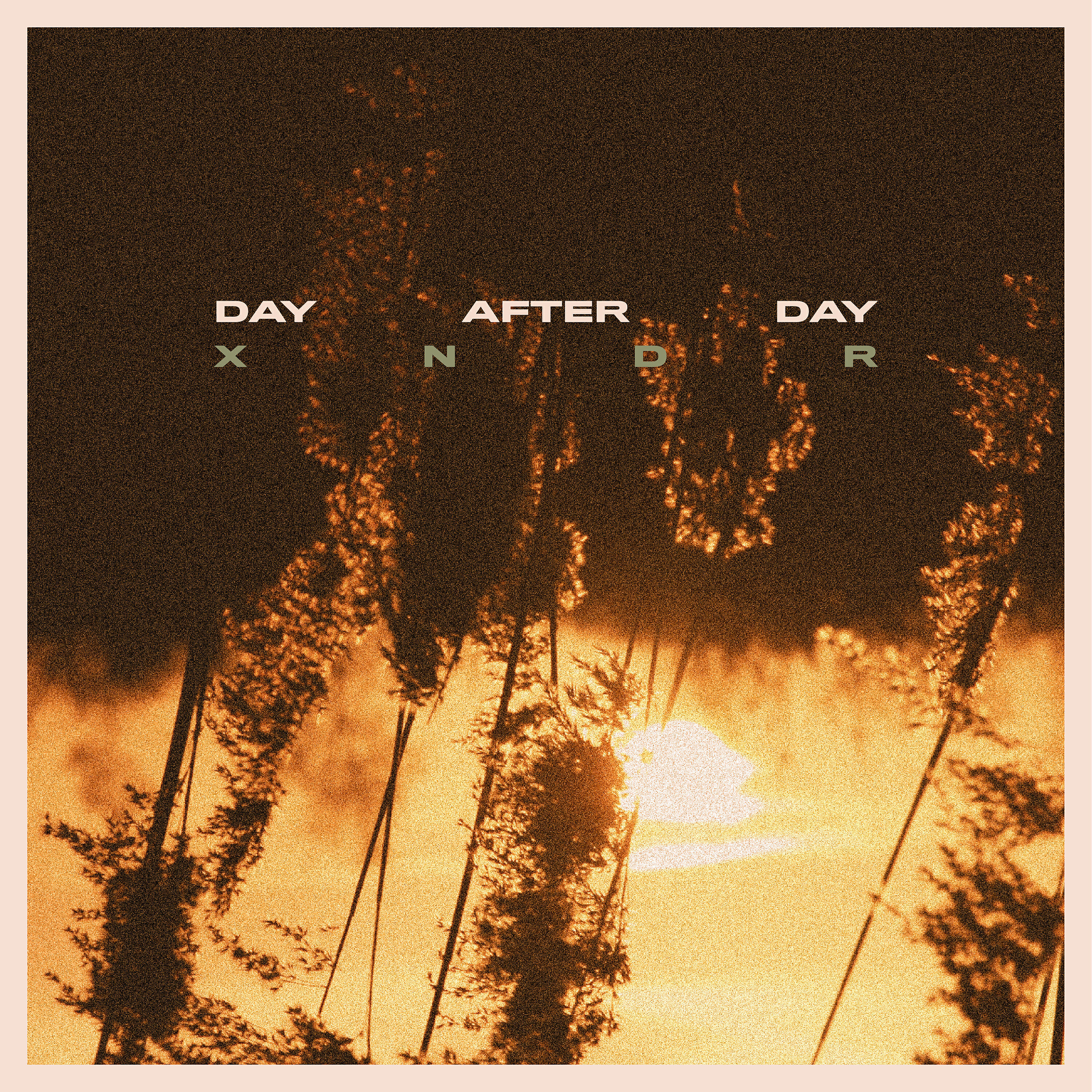 Релиз Day After Day