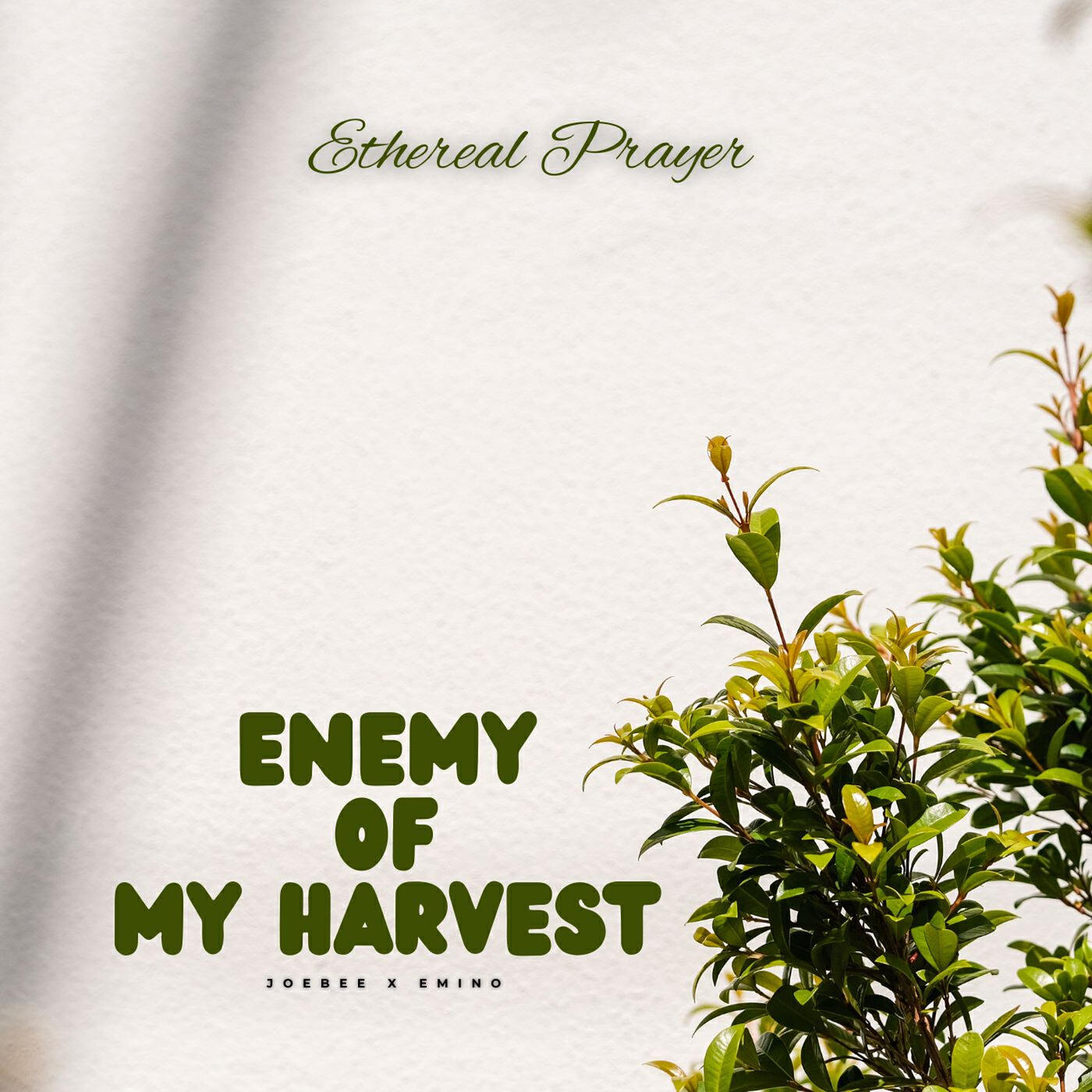 Релиз Enemy of My Harvest (Ethereal Prayer)