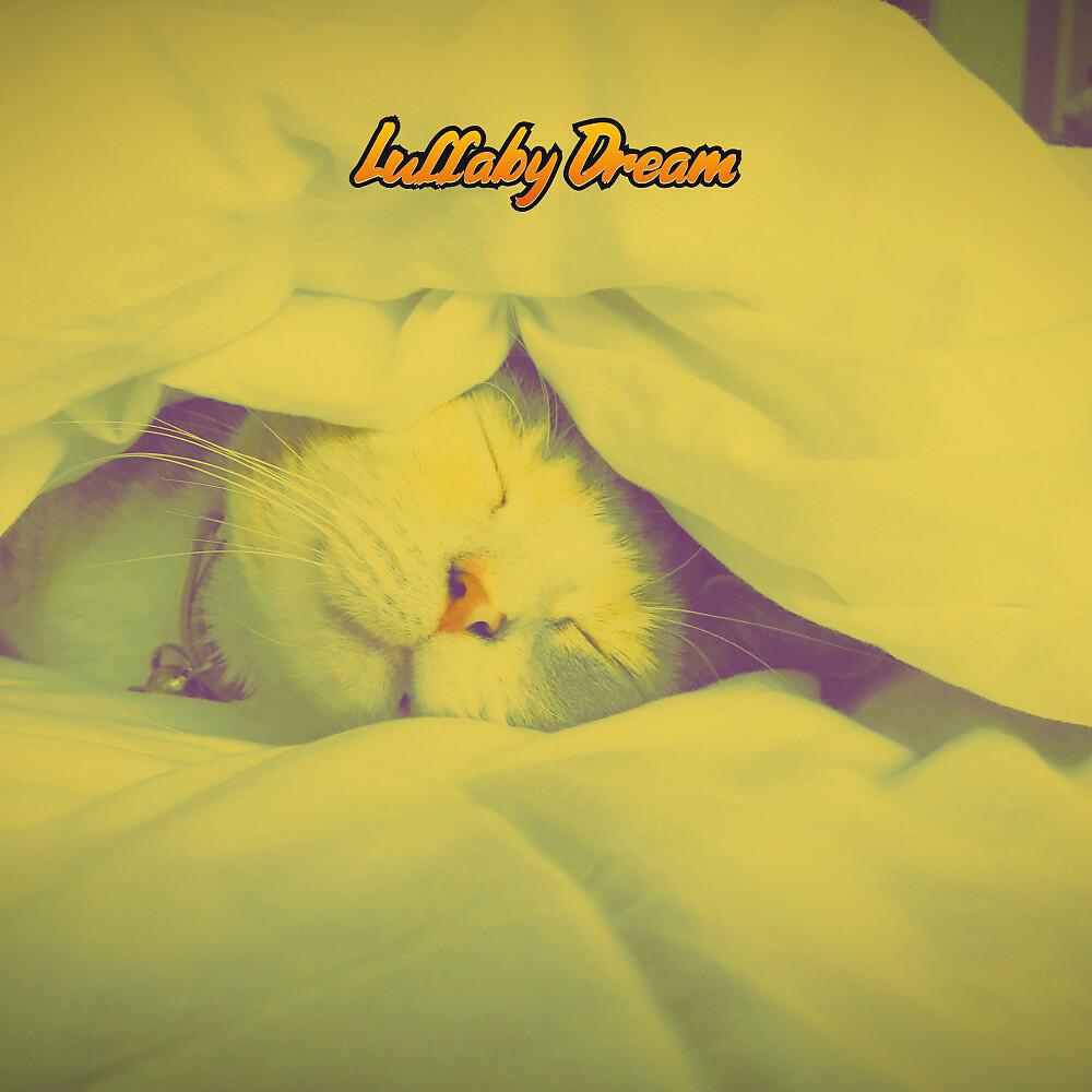 Постер альбома Lullaby Dream