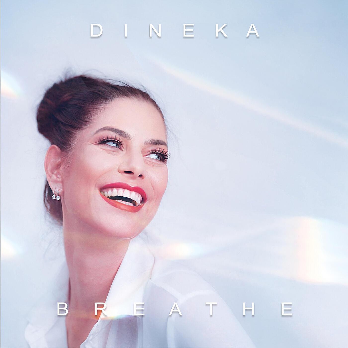 Dineka
