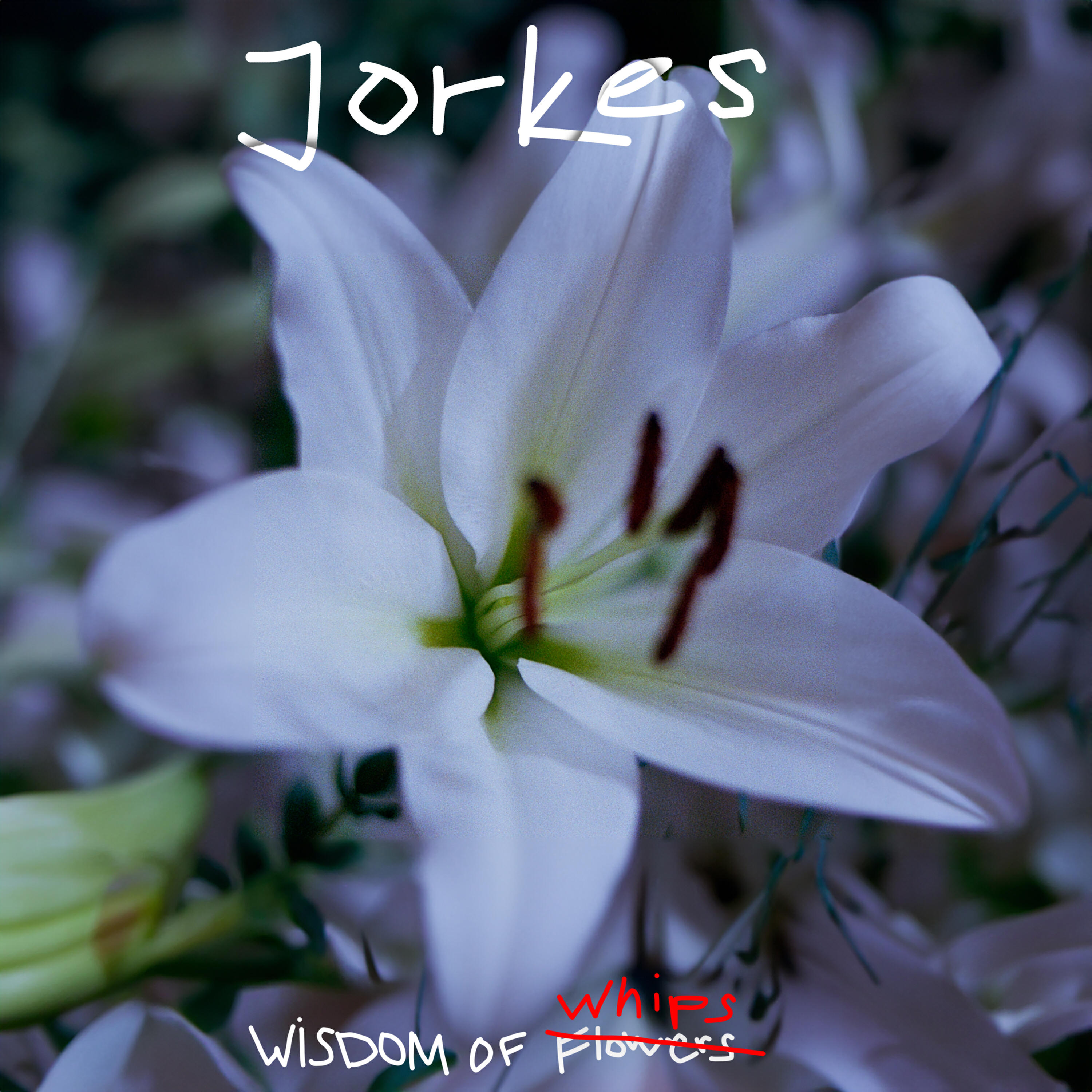 Релиз Wisdom of Whips