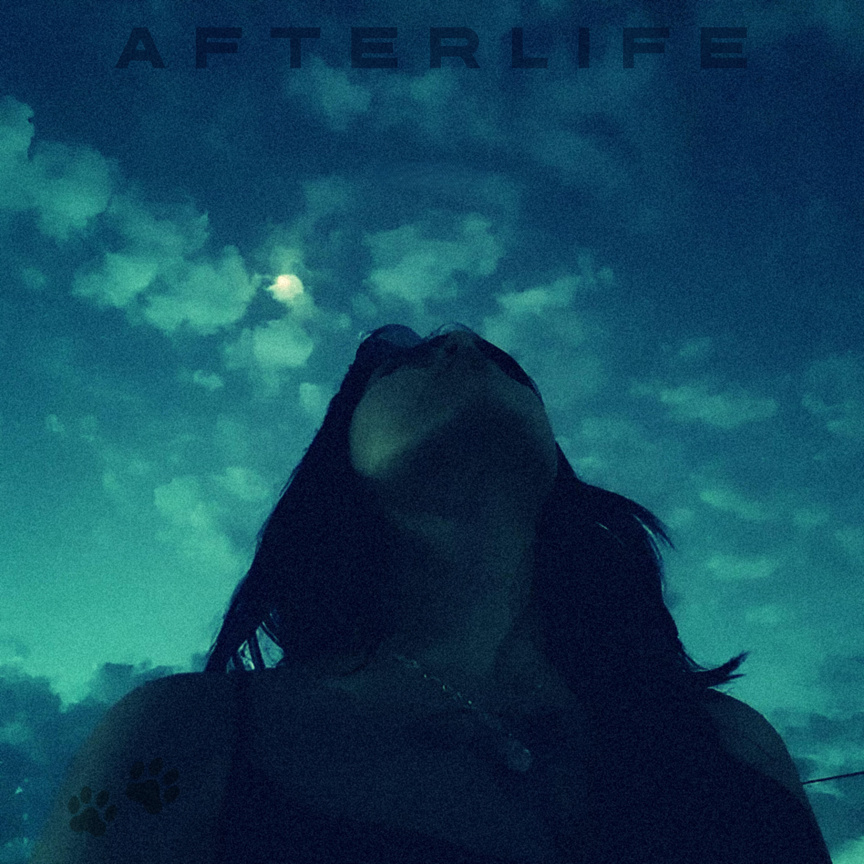 Релиз Afterlife