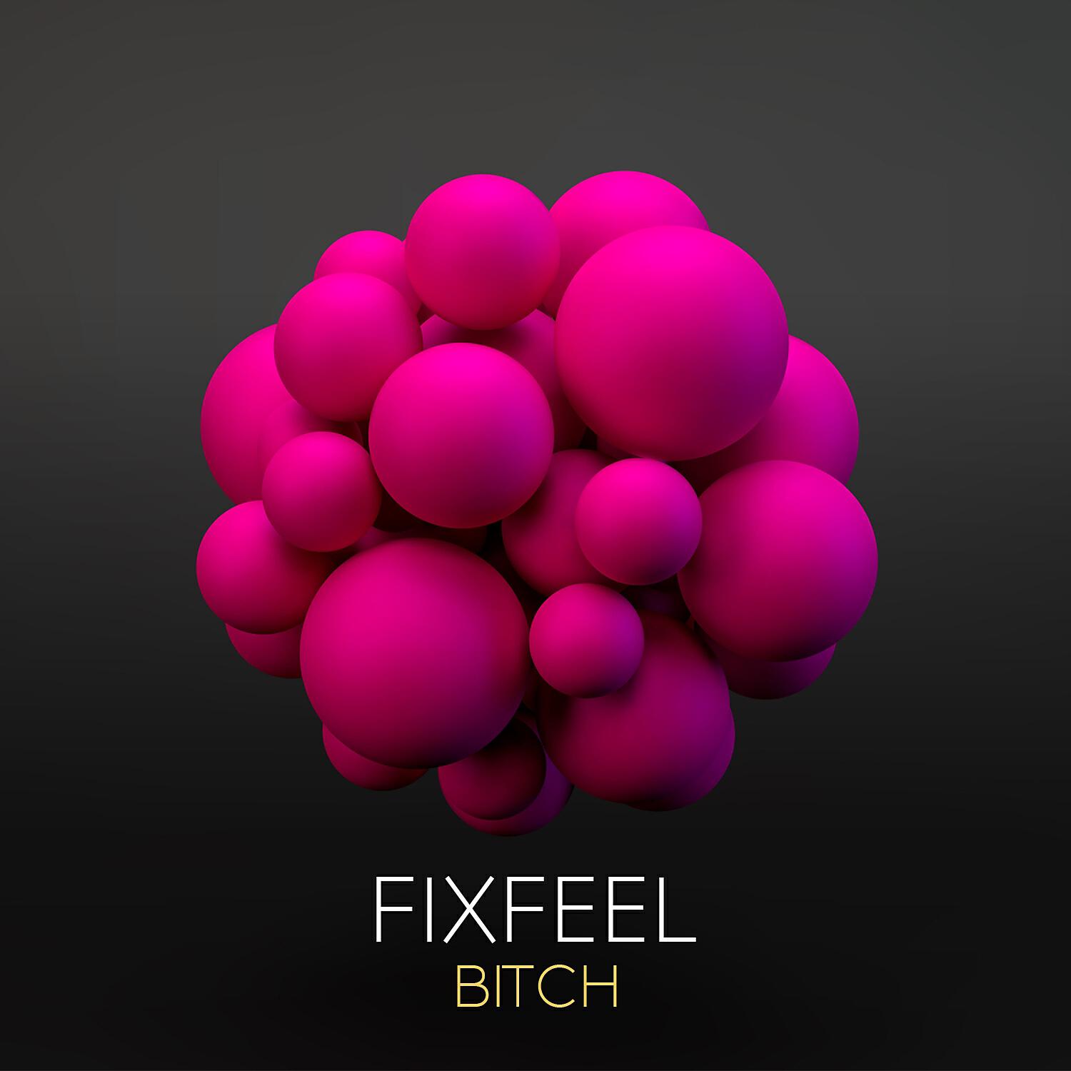 Релиз Bitch