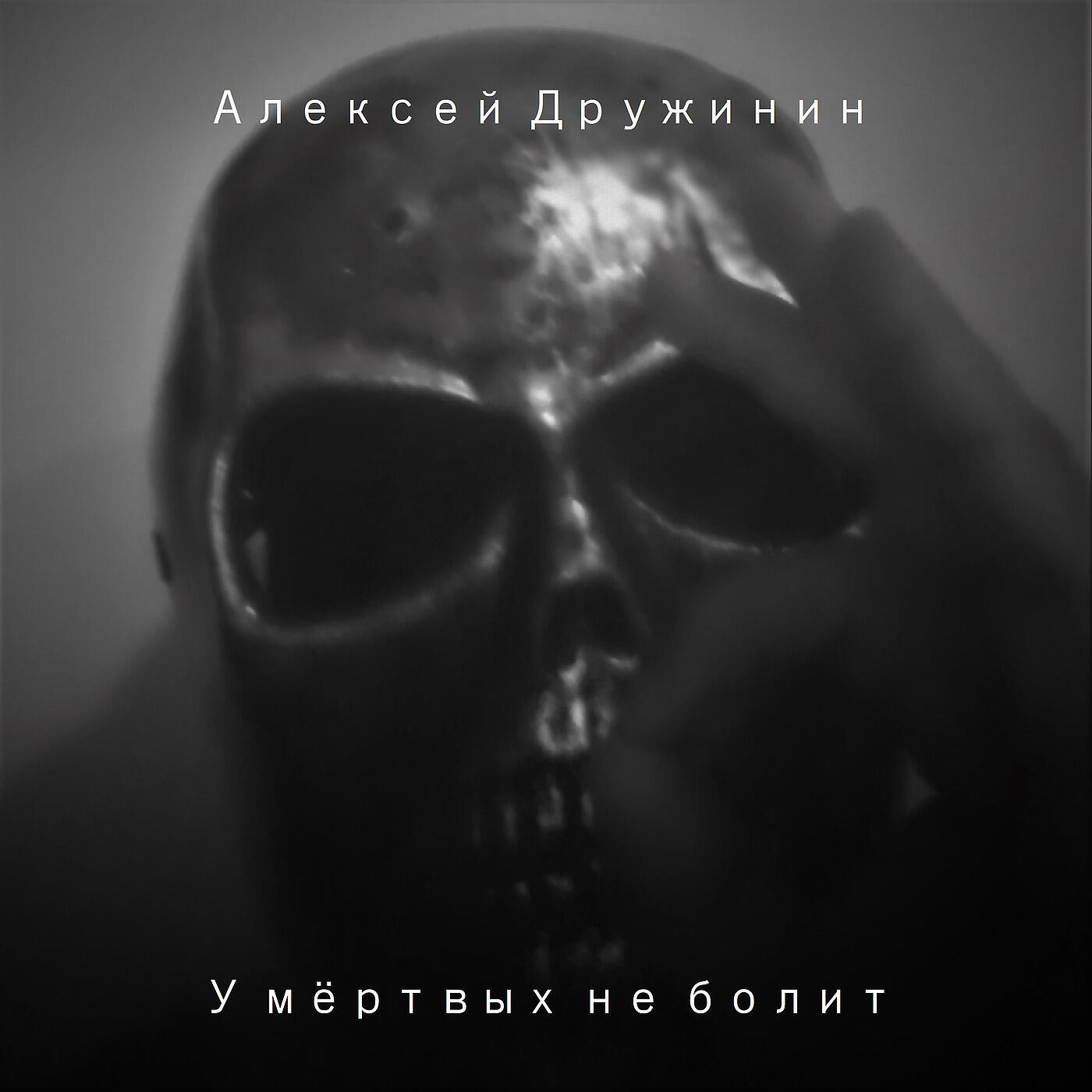 Алексей Дружинин