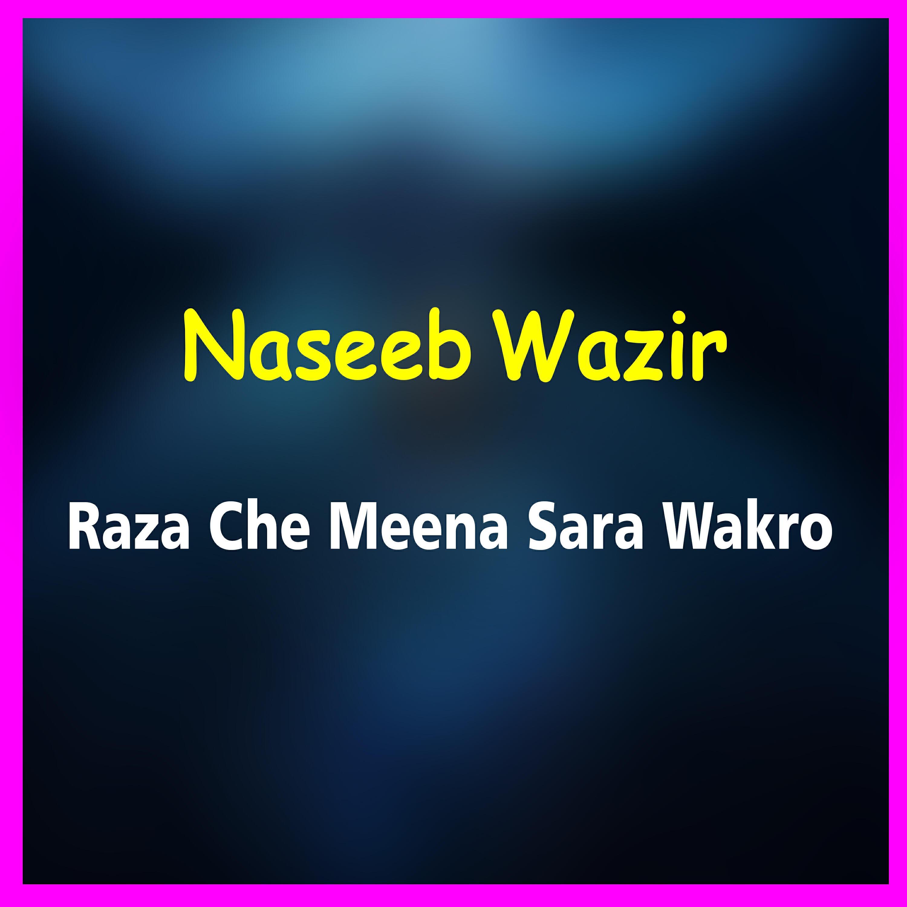 Naseeb Wazir