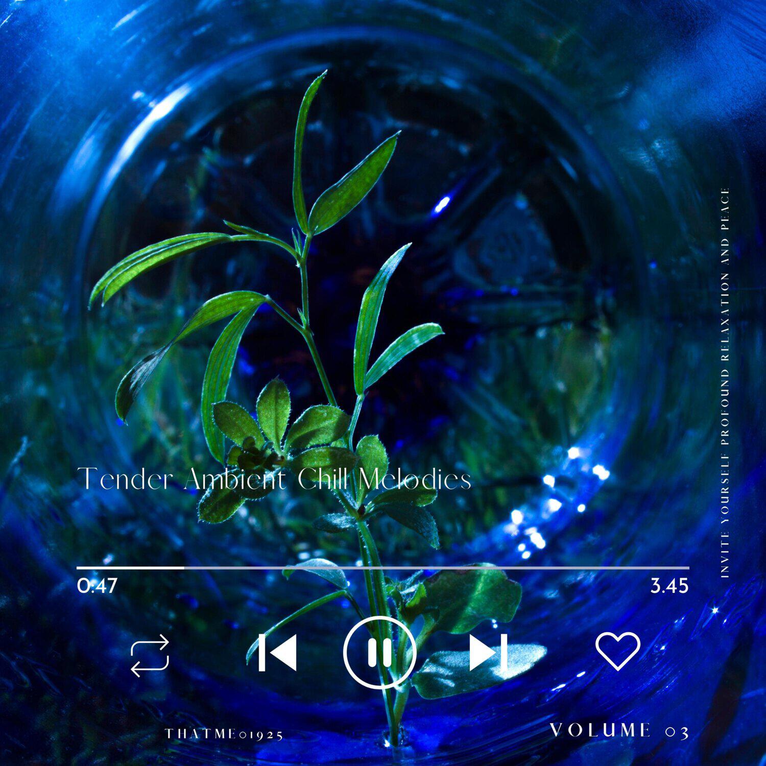 Релиз Tender Ambient Chill Melodies - Invite YourSelf Profound Relaxation and Peace, Vol. 03