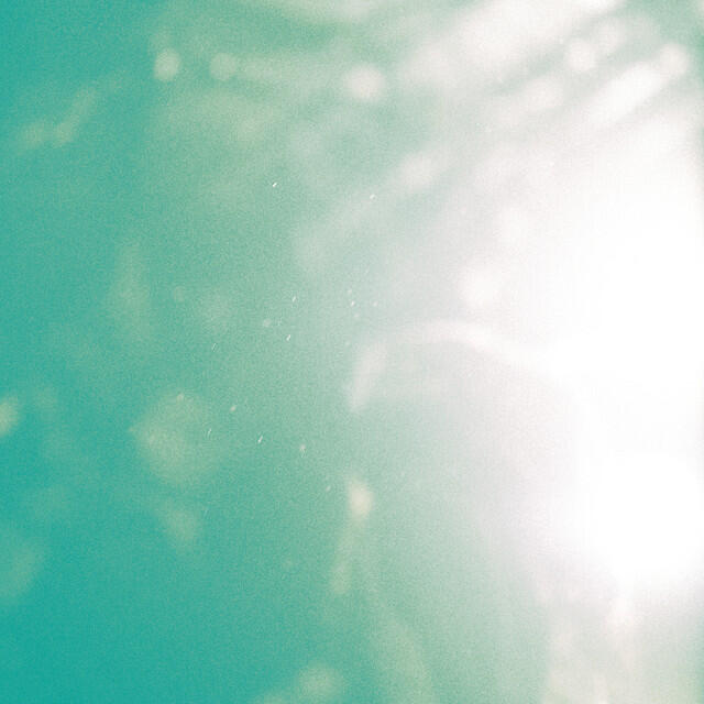 waterweed