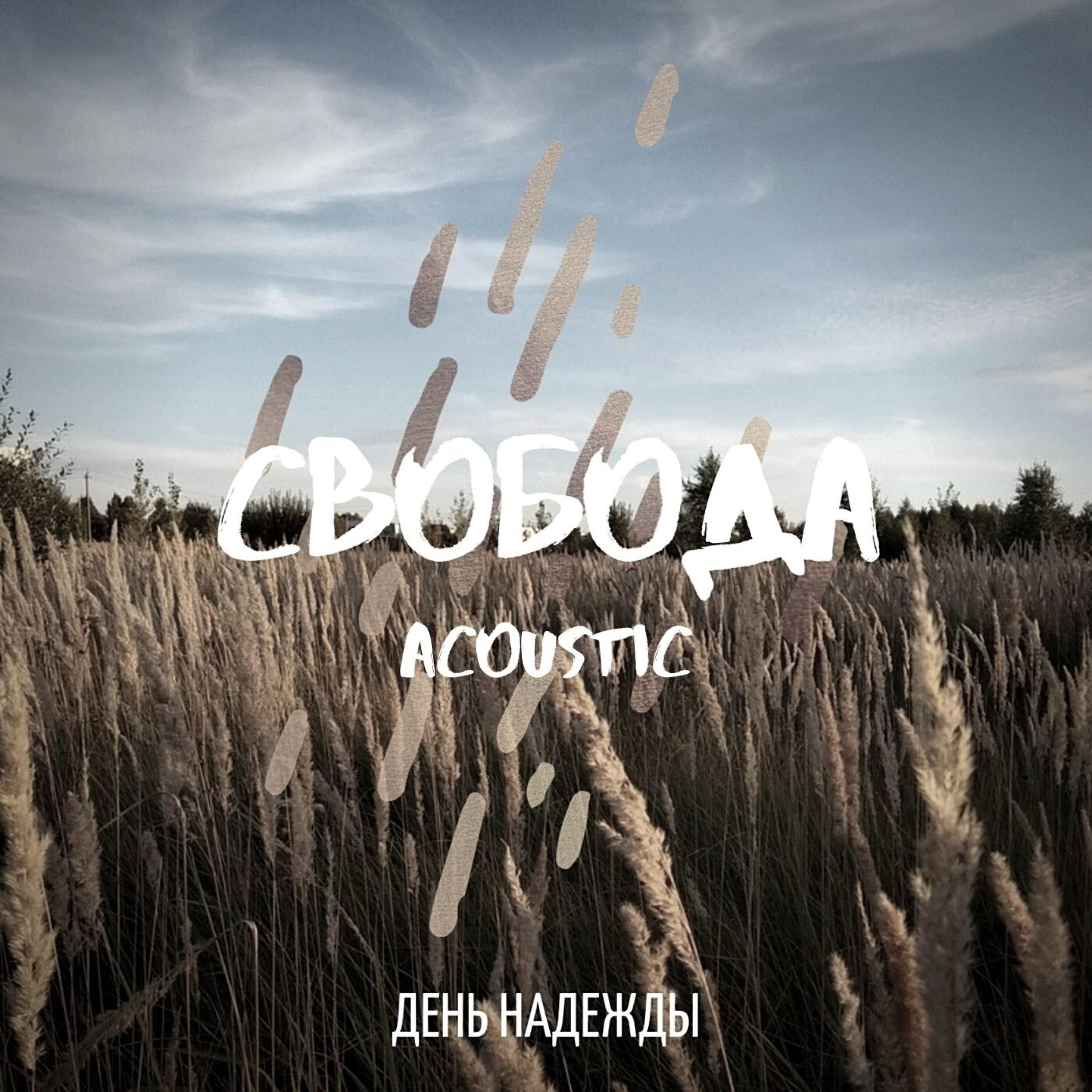 Релиз Свобода