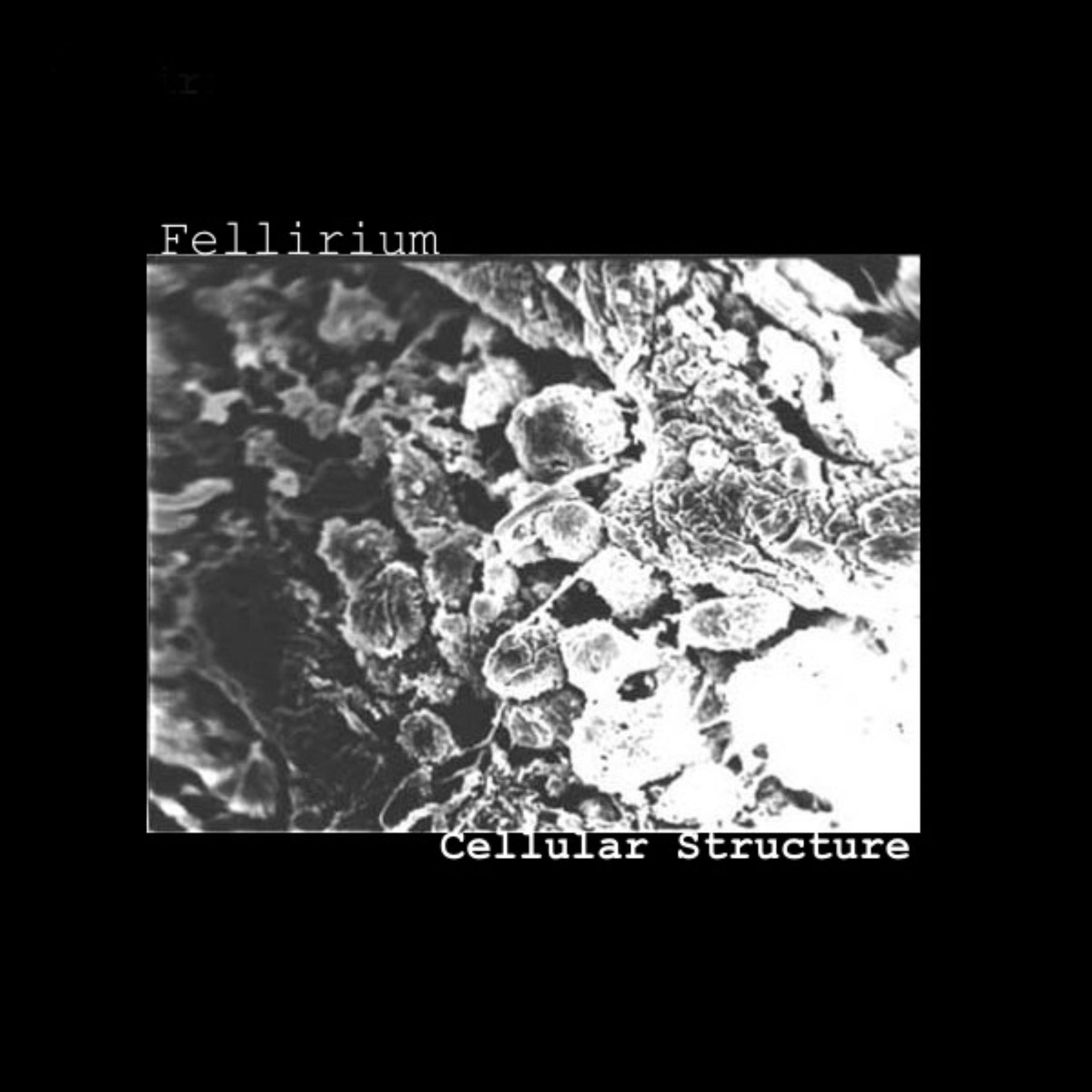 Релиз Cellular Structure