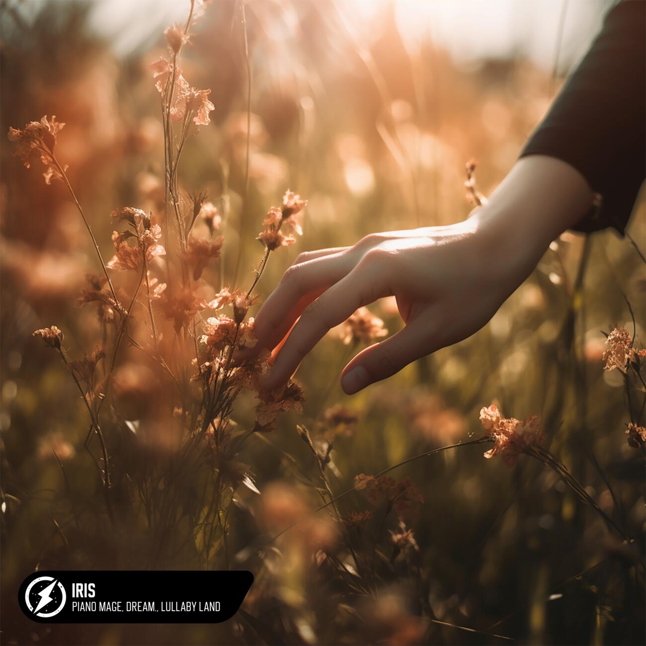 Piano Mage, Dream., Lullaby Land - Iris