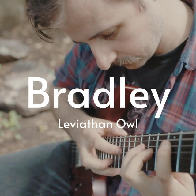 Релиз Bradley
