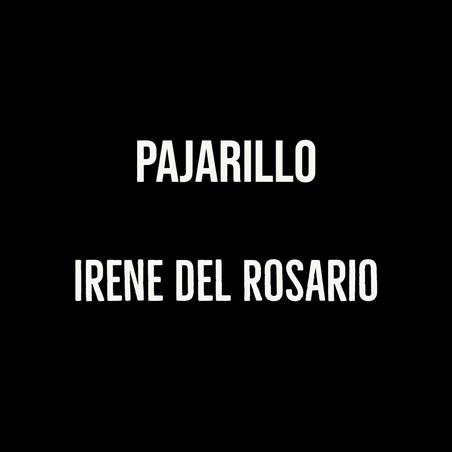 Релиз Pajarillo