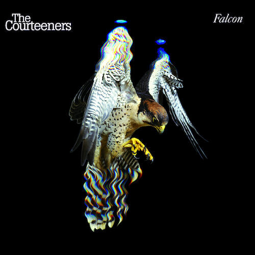 Релиз Falcon