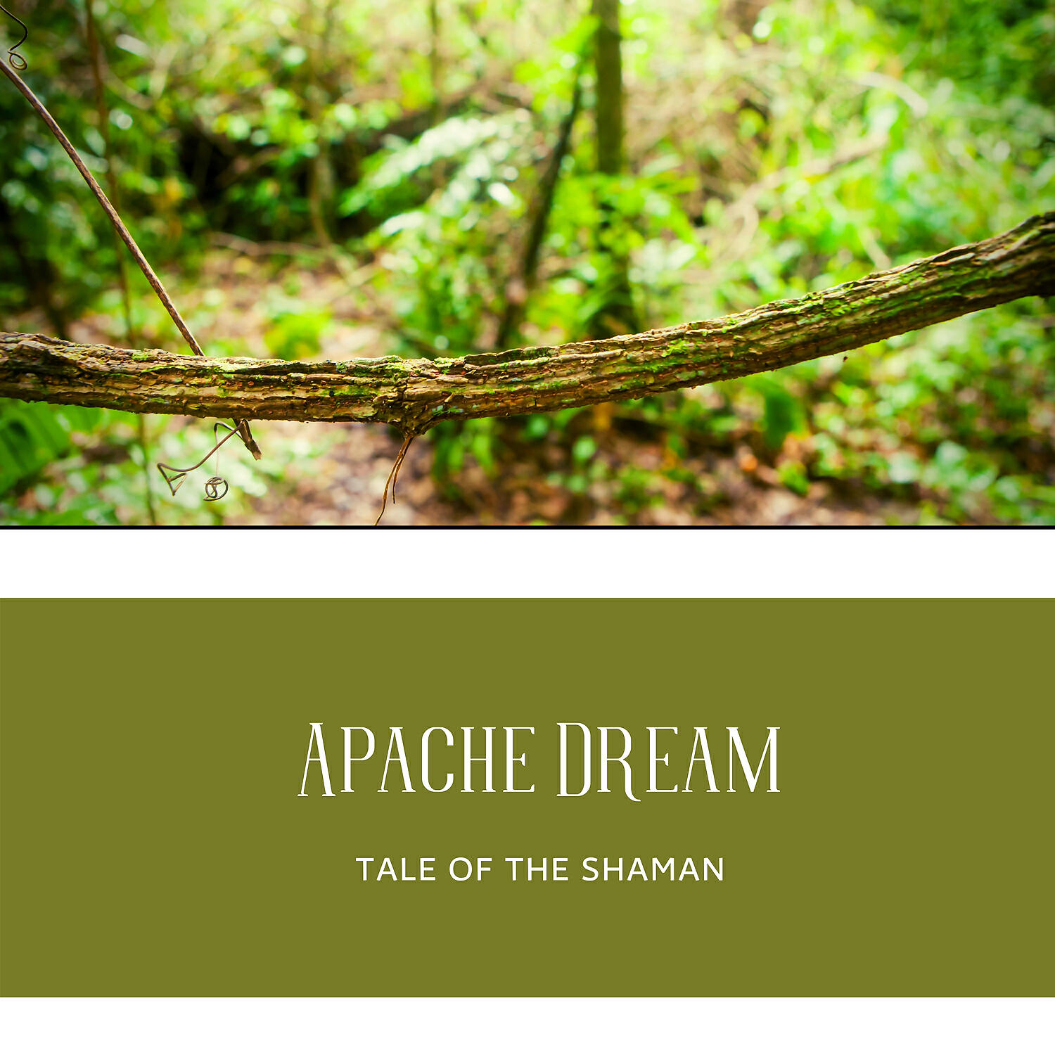 Релиз Apache Dream