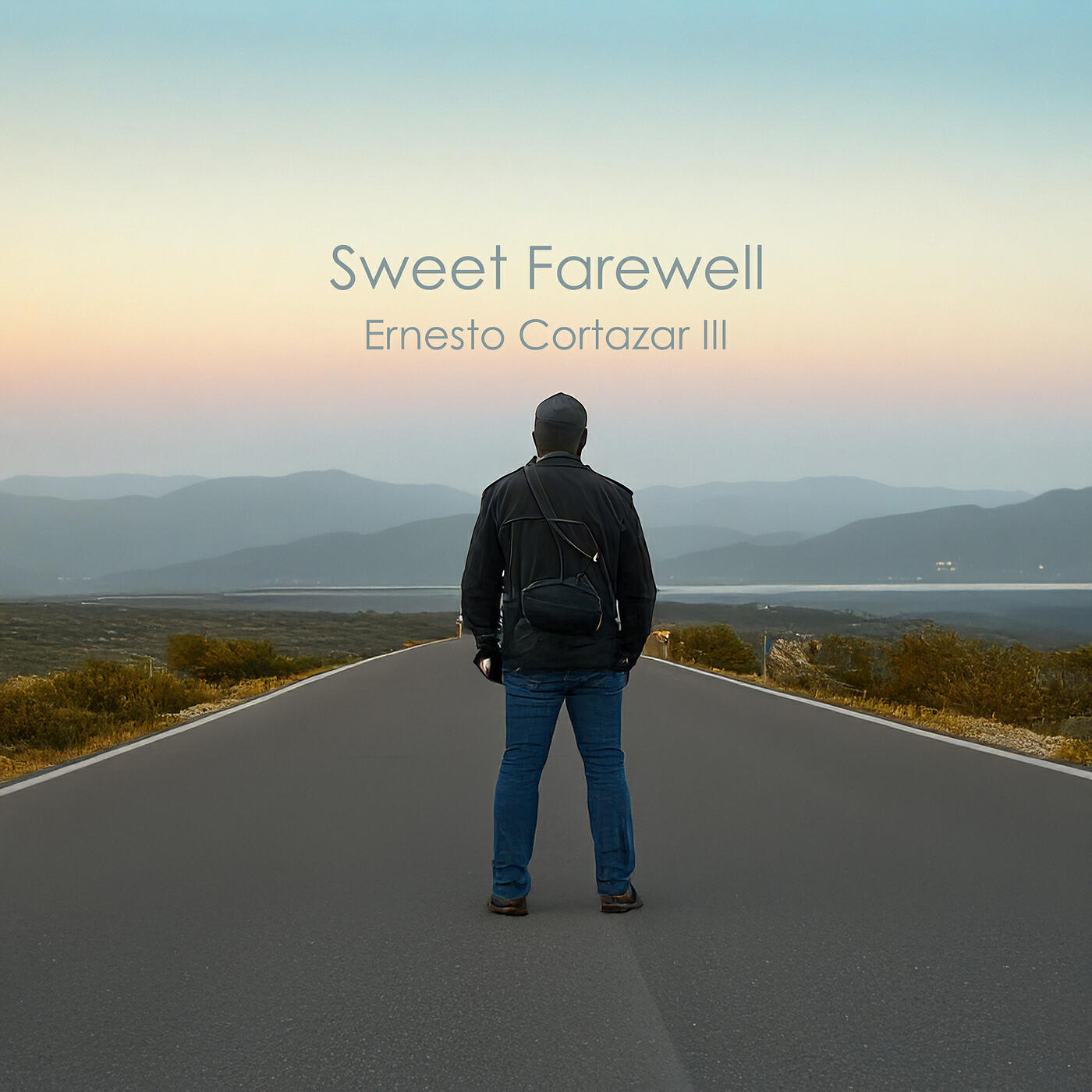 Постер альбома Sweet Farewell
