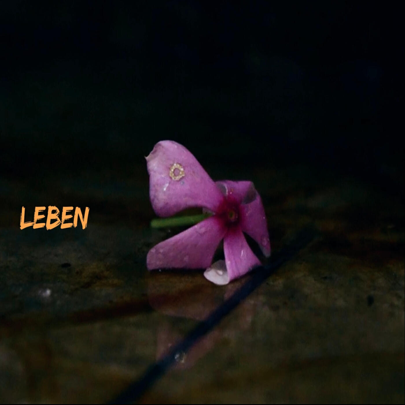 Релиз Leben