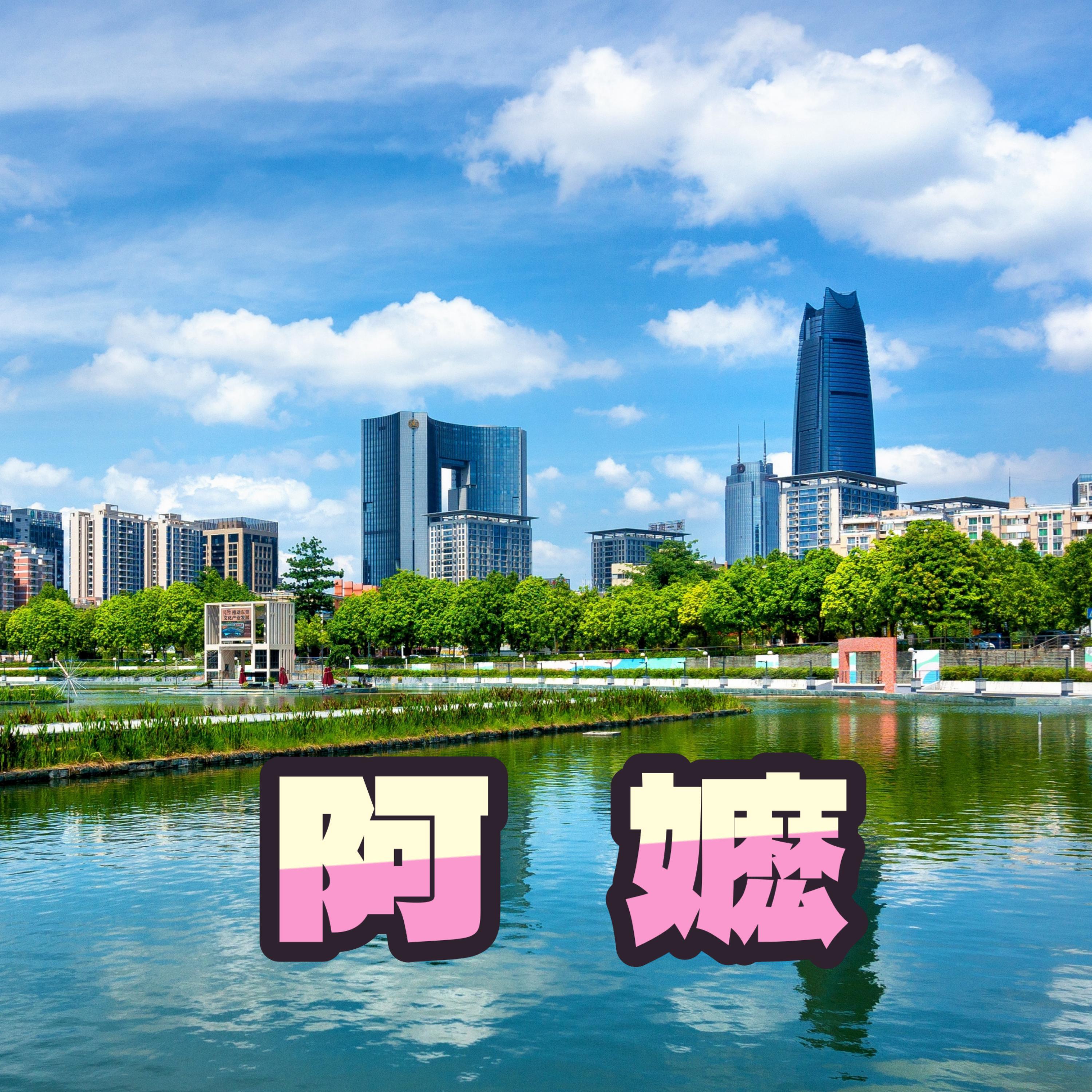 飞芸乐团