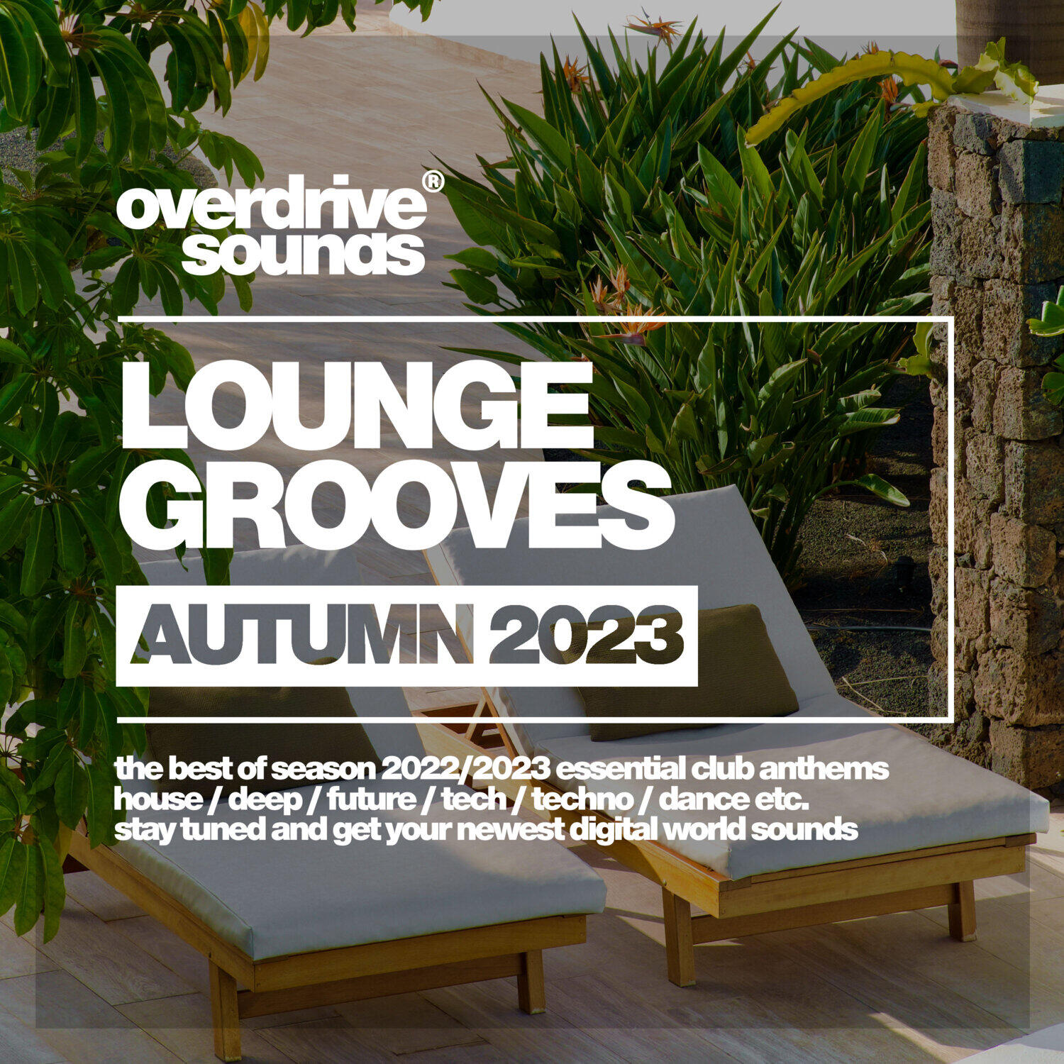 Релиз Lounge Grooves 2023