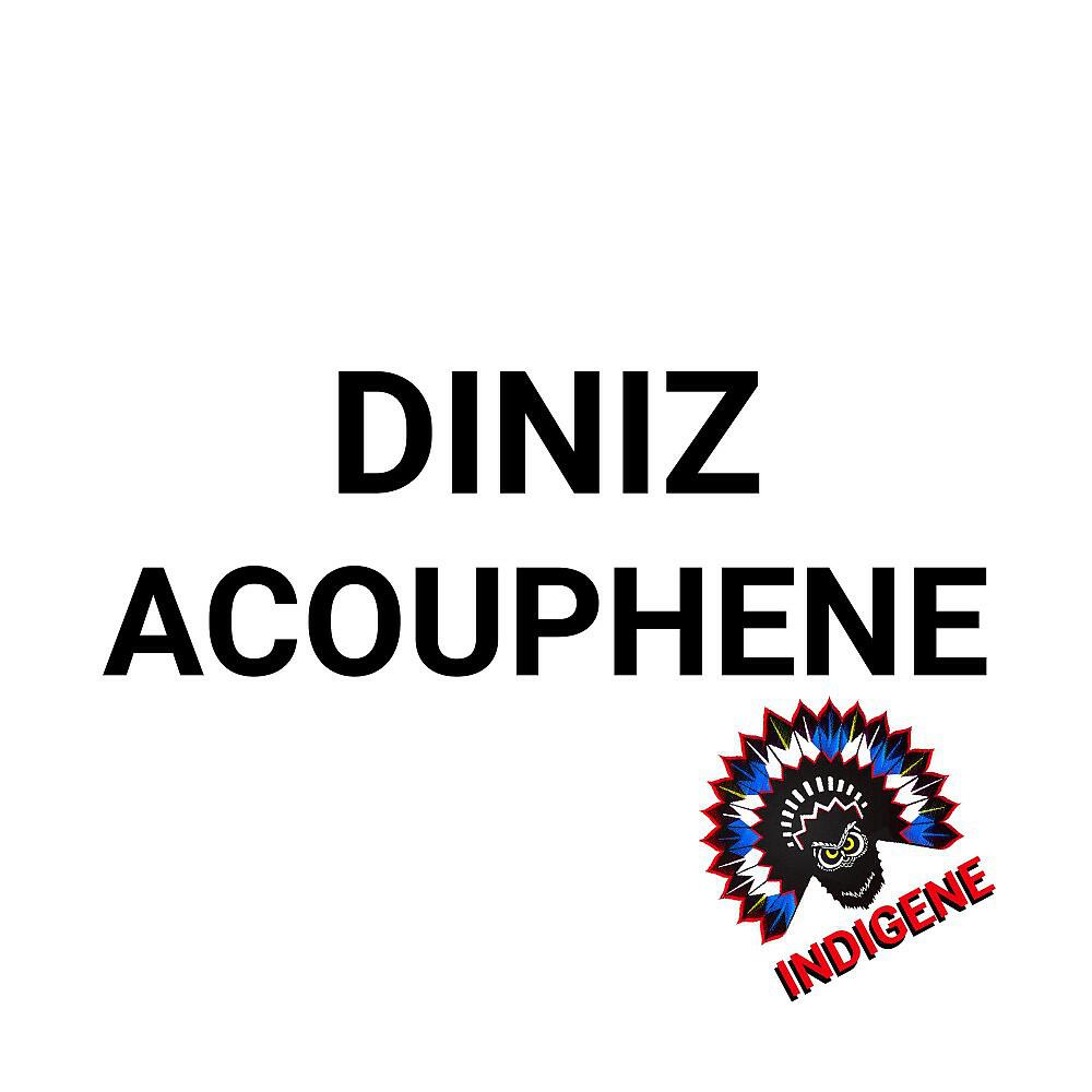 Релиз Acouphene
