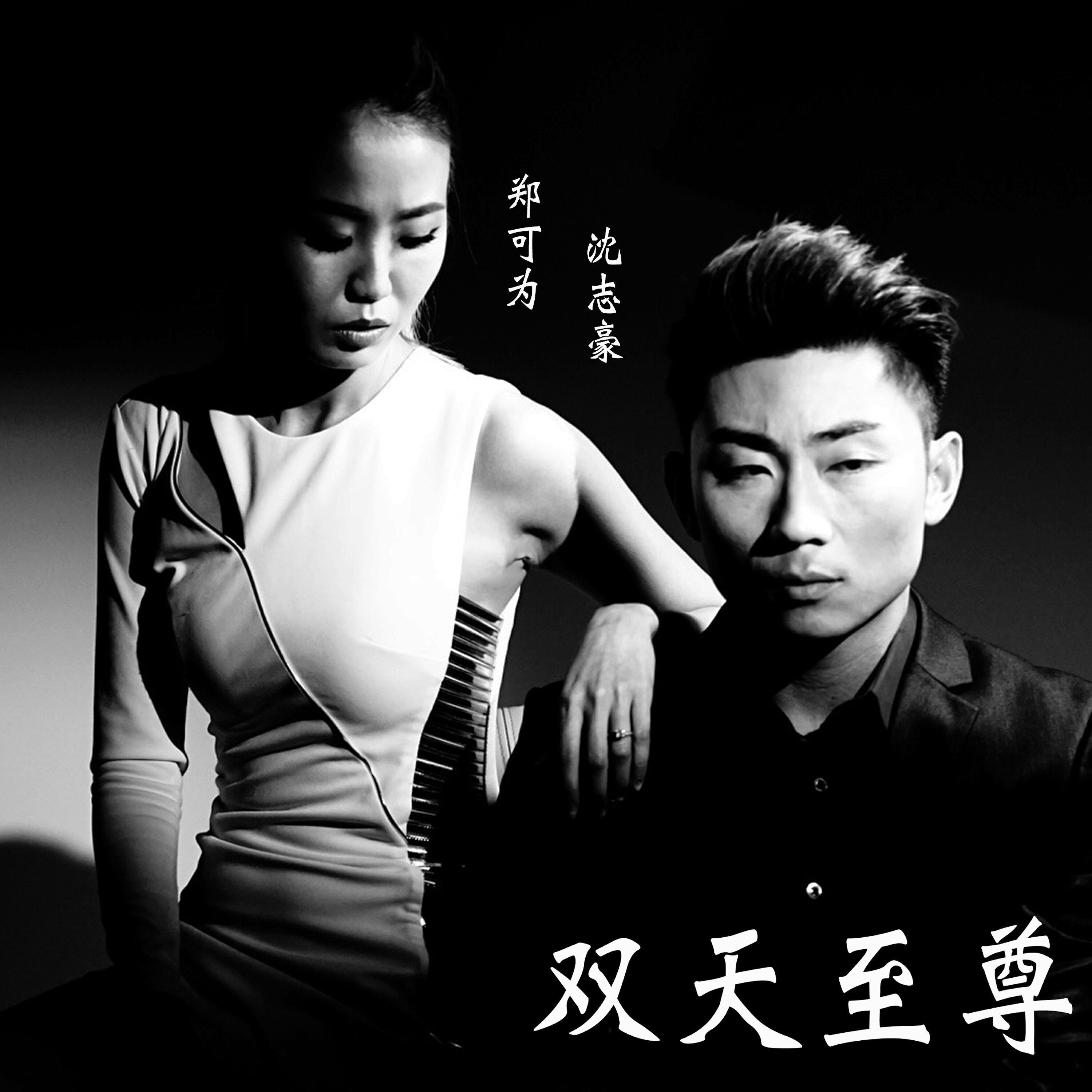 Релиз 双天至尊