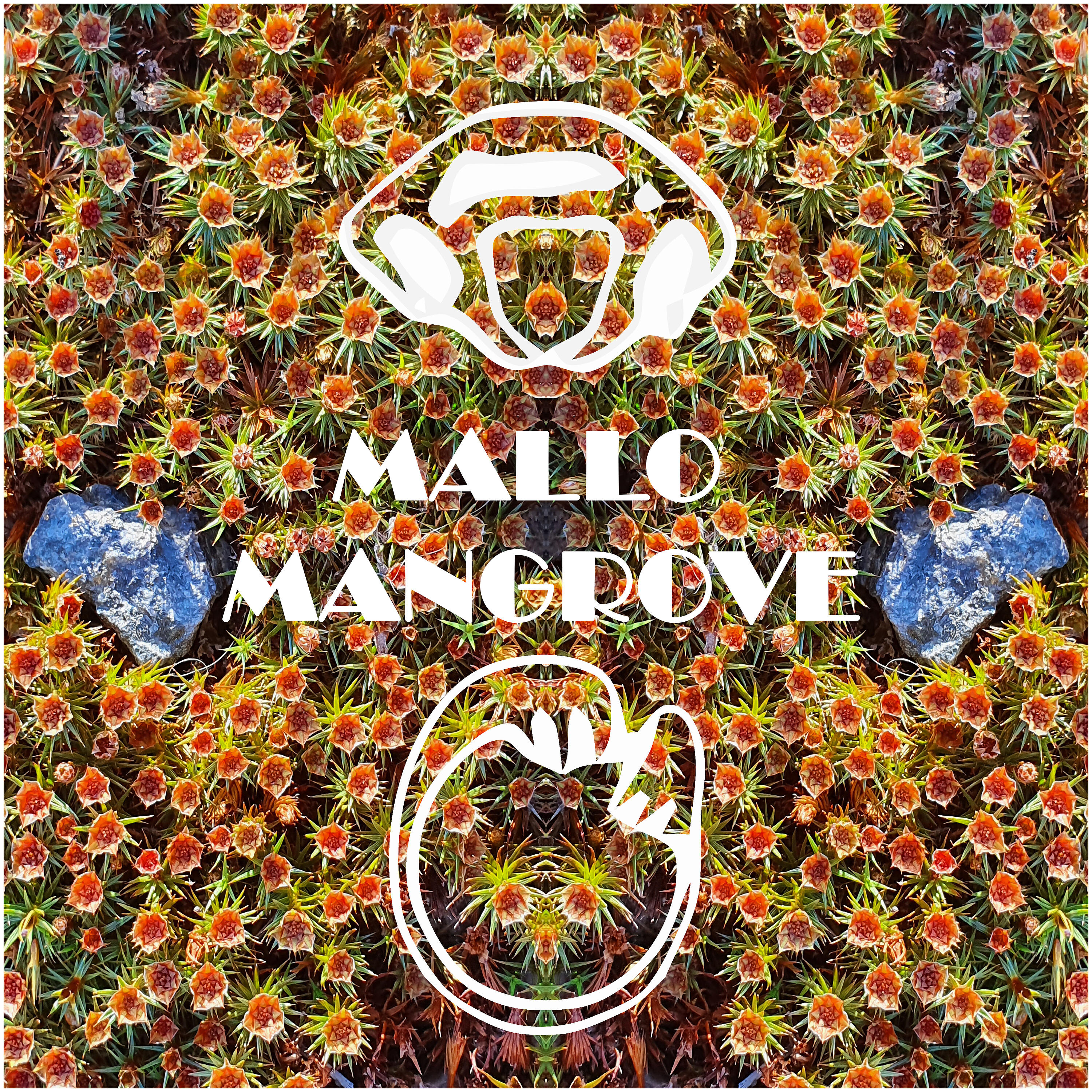 Релиз Mallo Mangrove