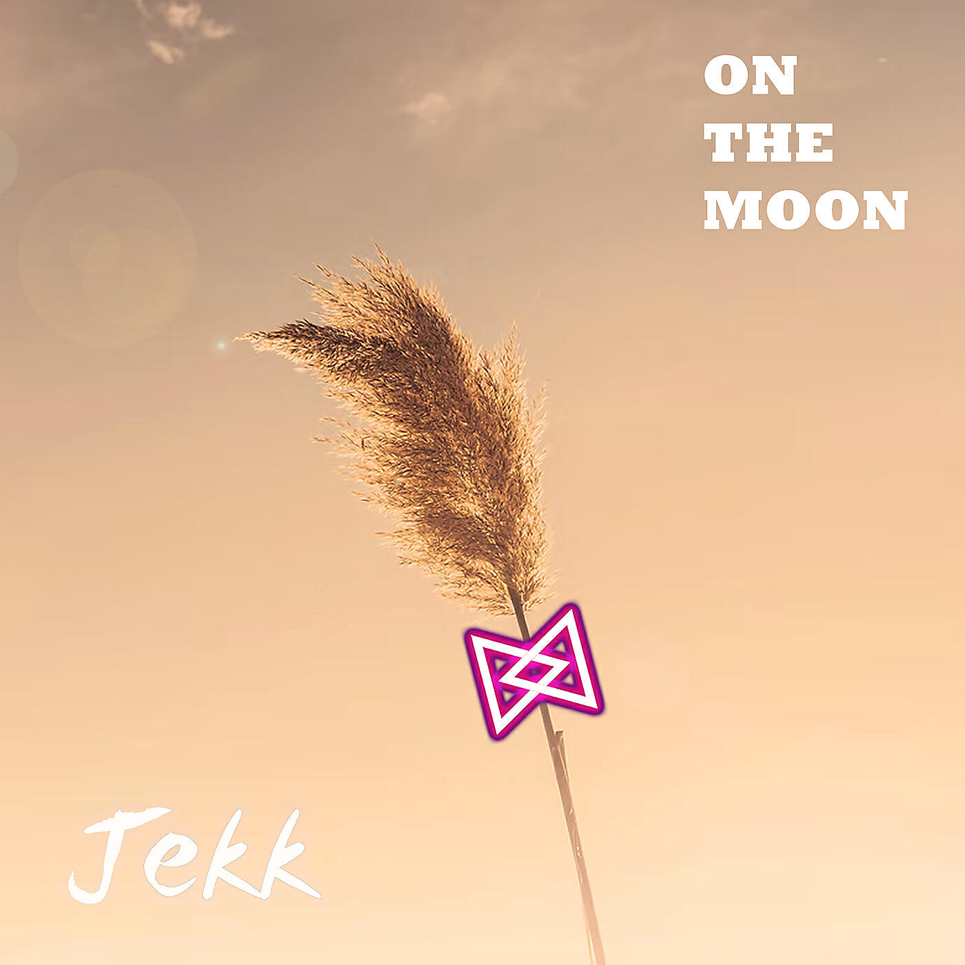 Релиз On the Moon