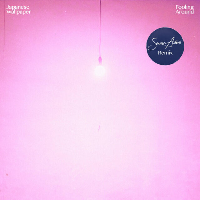 Релиз Fooling Around (Savoir Adore Remix)