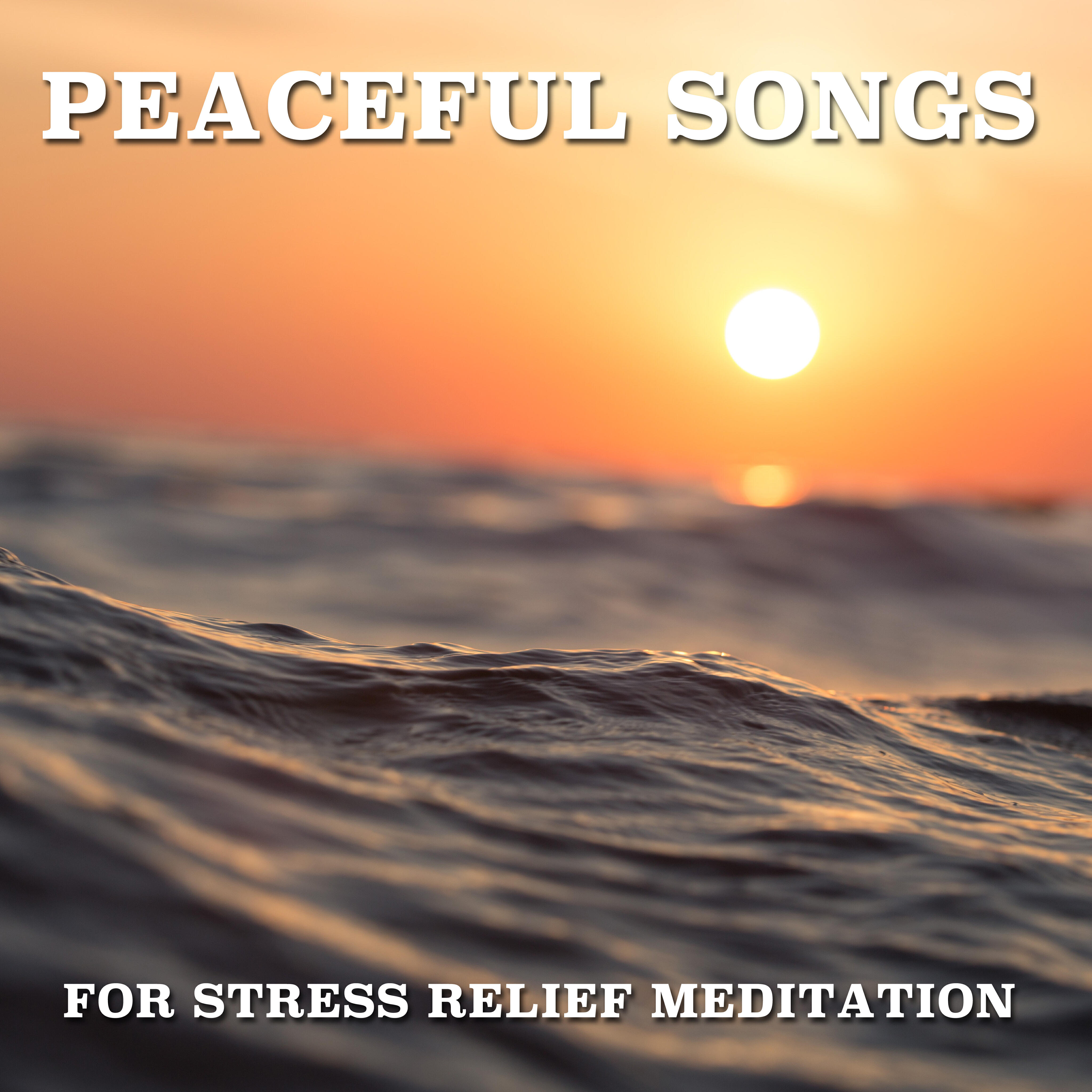 Релиз 14 Peaceful Songs for Stress Relief Meditation