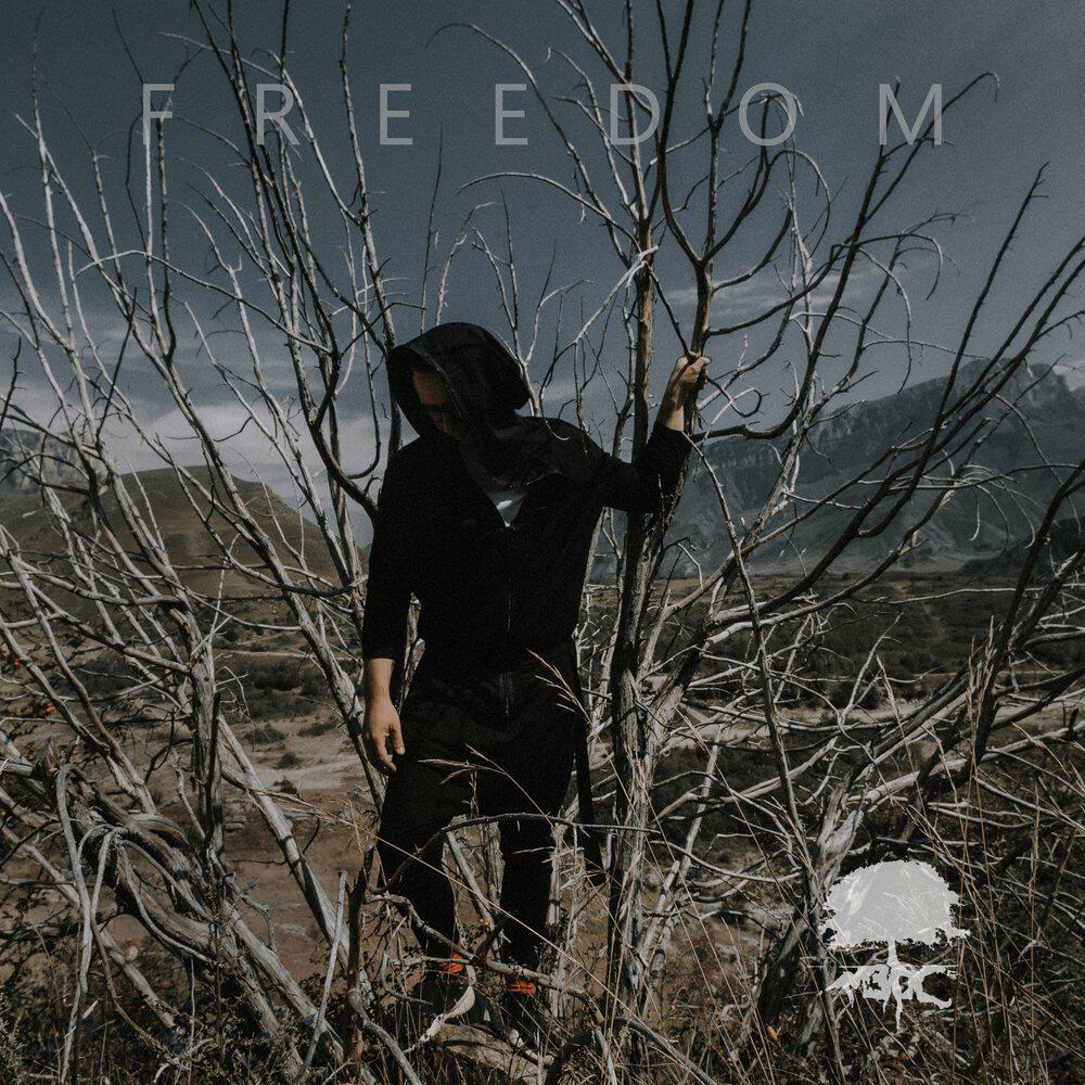 Релиз Freedom