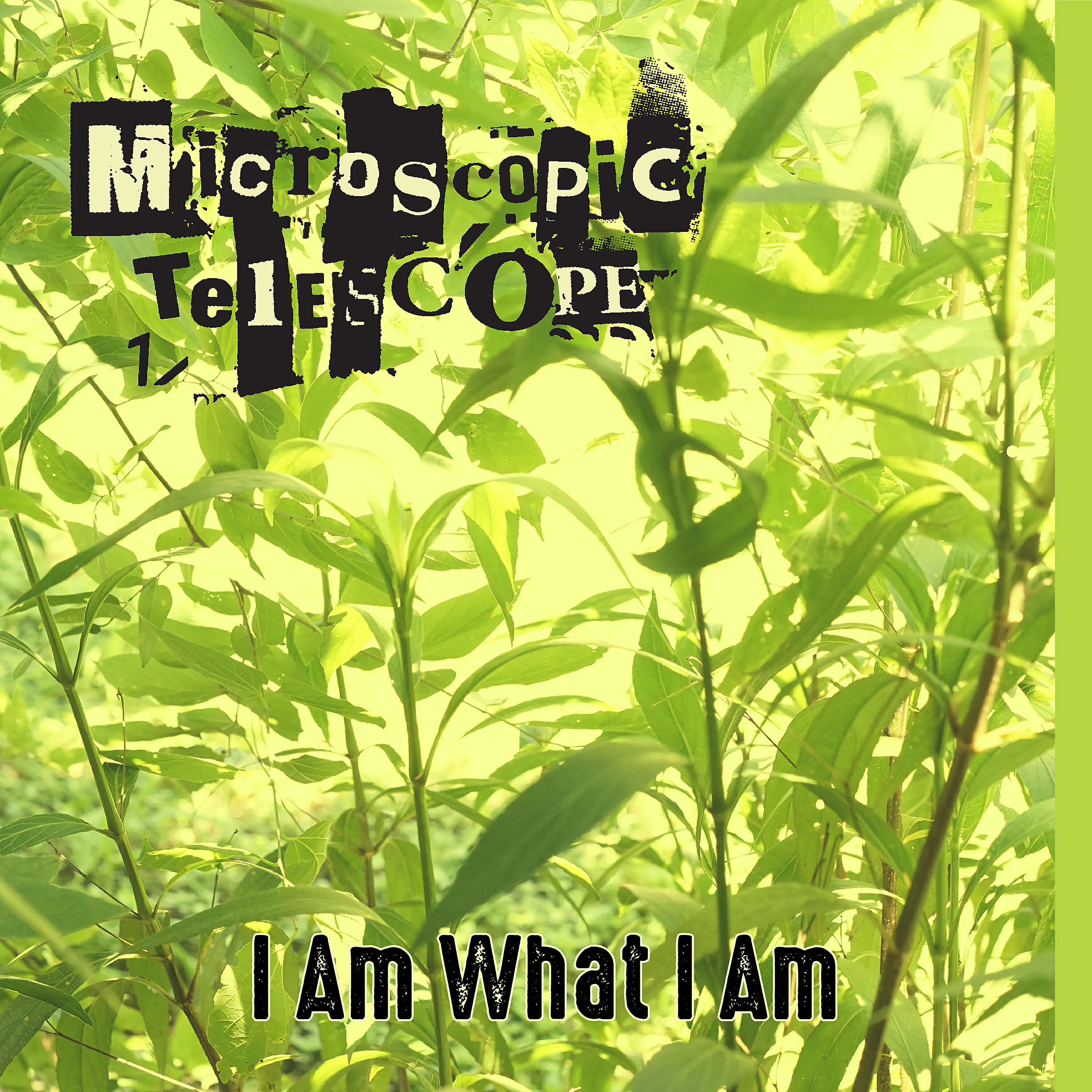 Релиз I Am What I Am