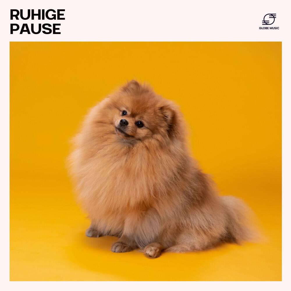 Entspannende Musik für Hunde